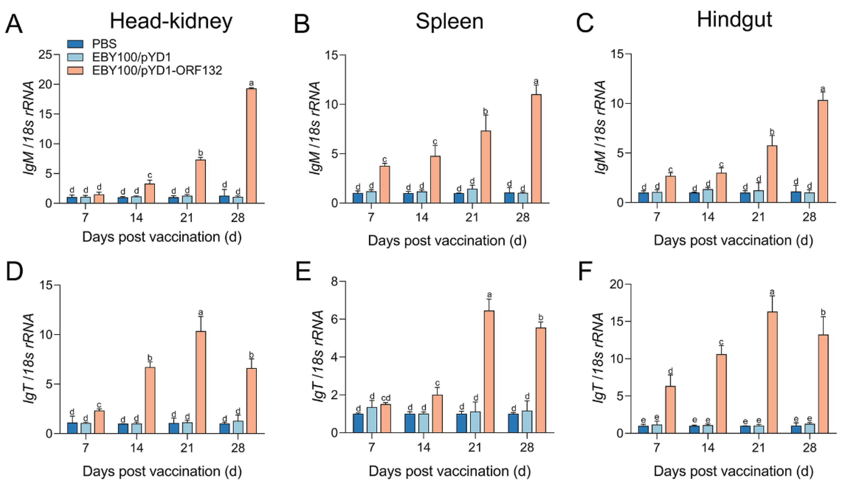 Vaccines 11 00186 g003