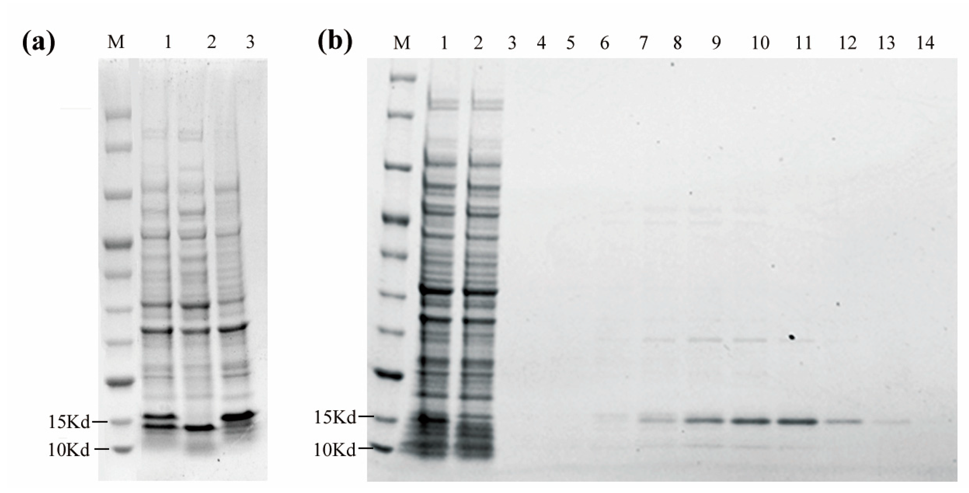Vaccines 11 00371 g005 Vaccines 11 00371 g005