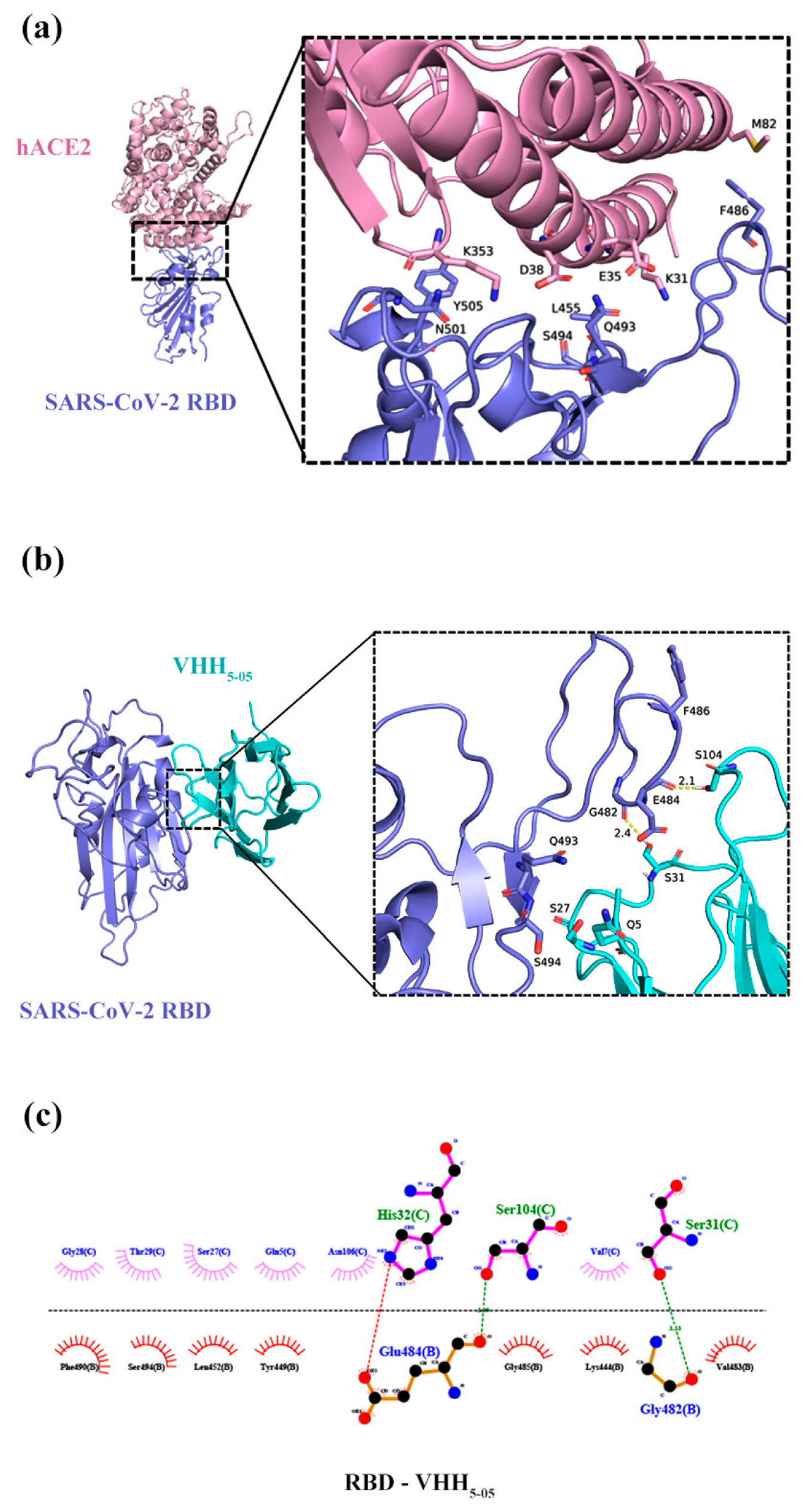 Vaccines 11 00371 g007 Vaccines 11 00371 g007