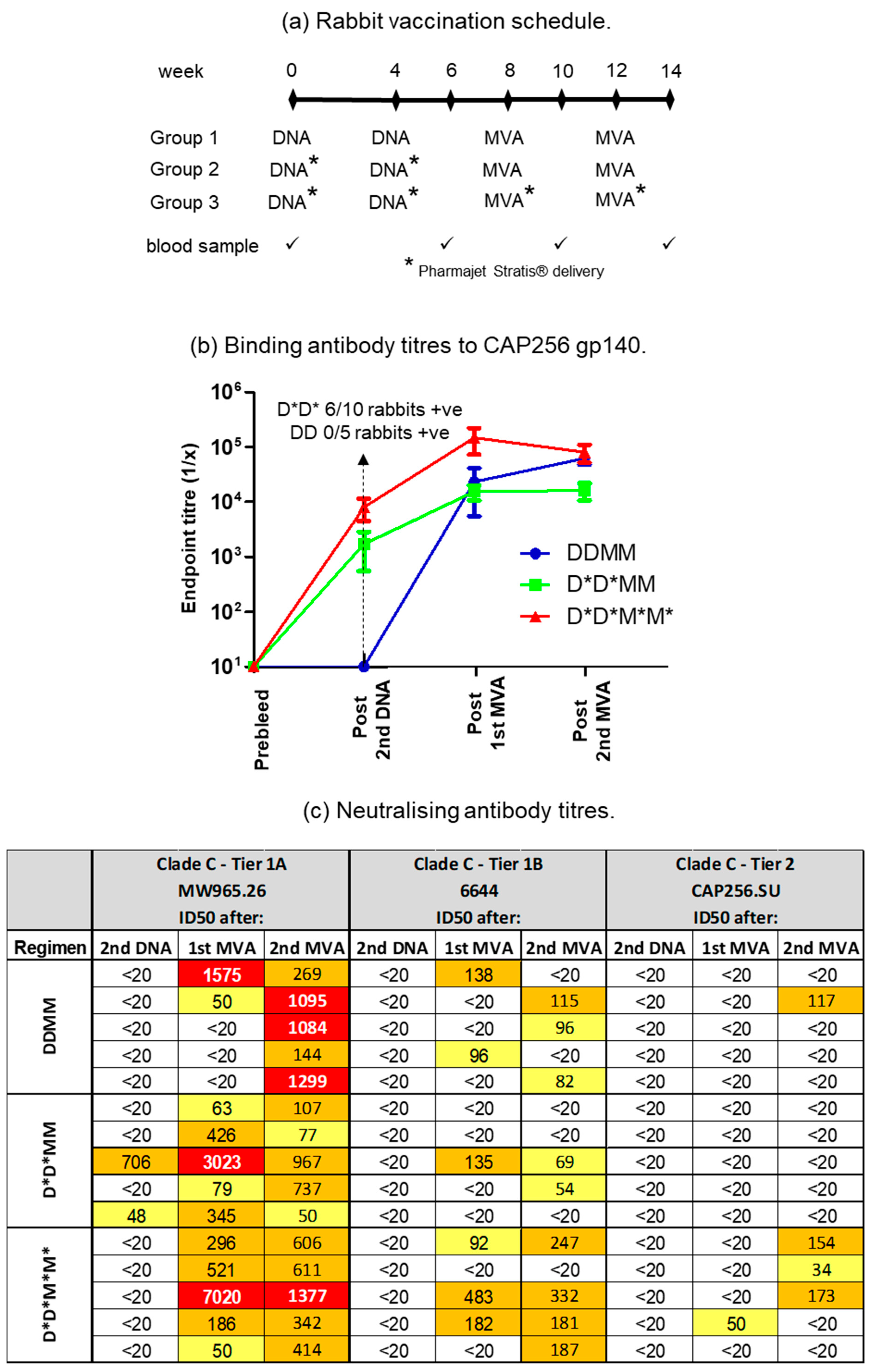 Vaccines 11 00376 g002