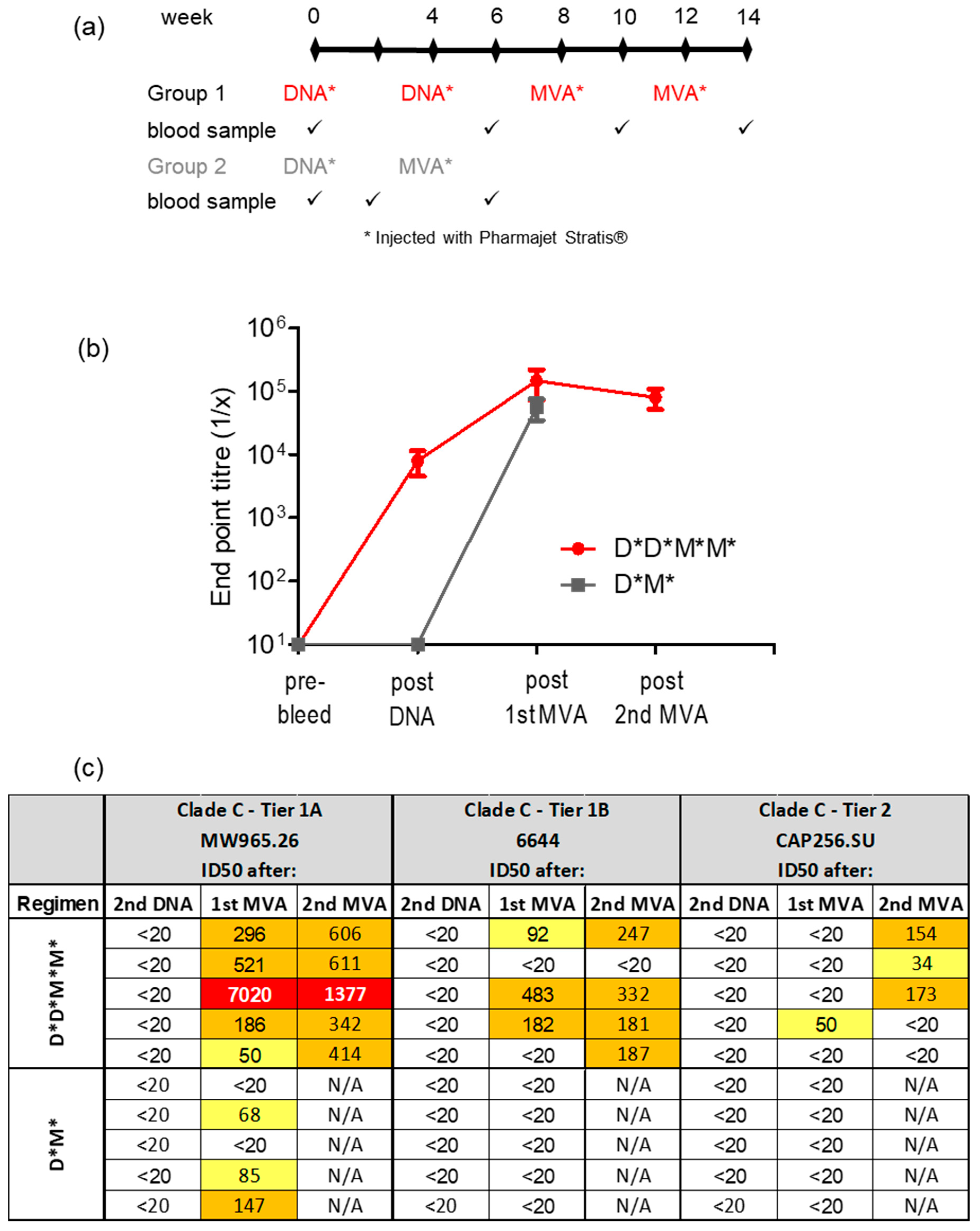 Vaccines 11 00376 g004