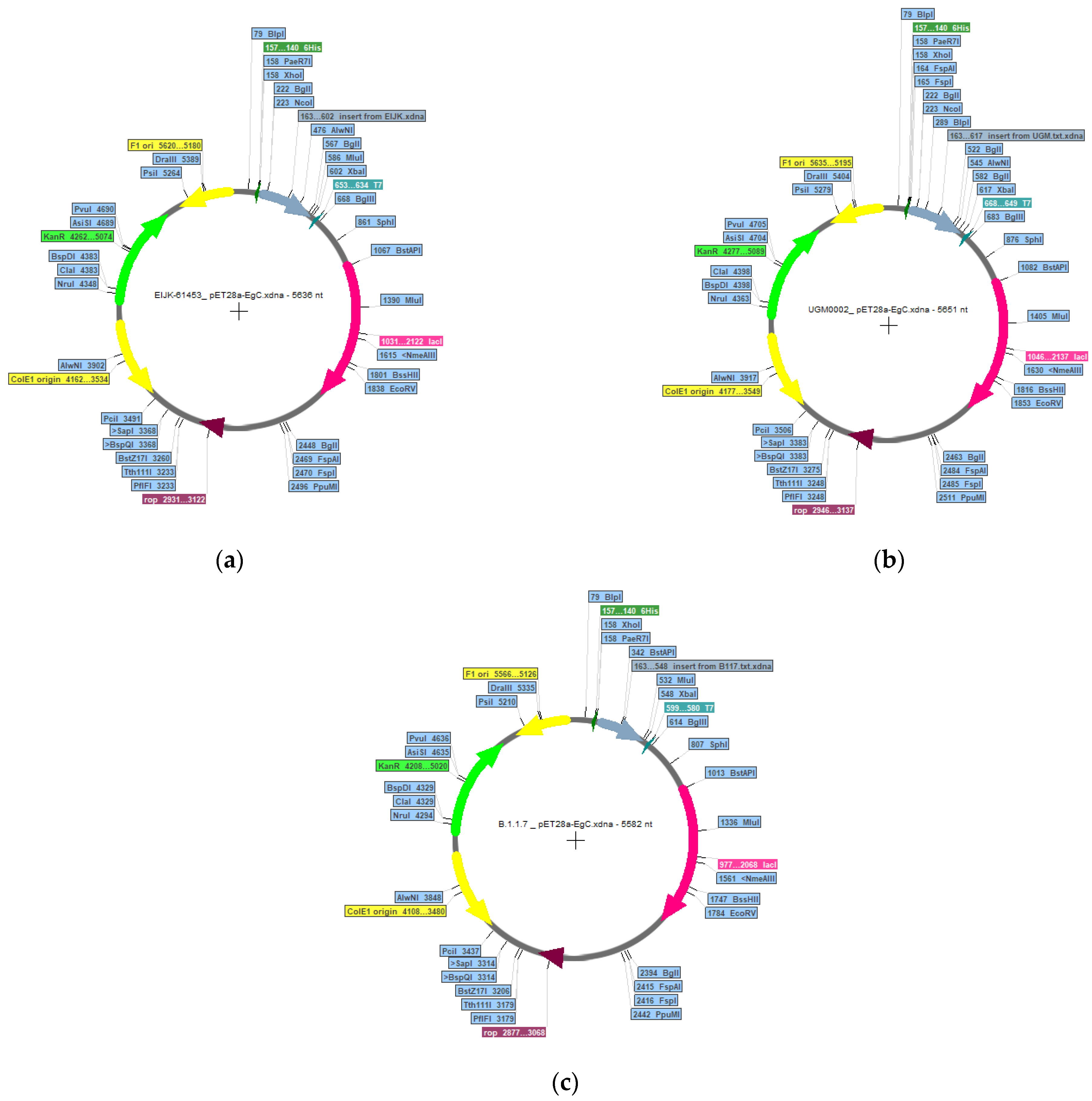 Vaccines 11 00399 g011