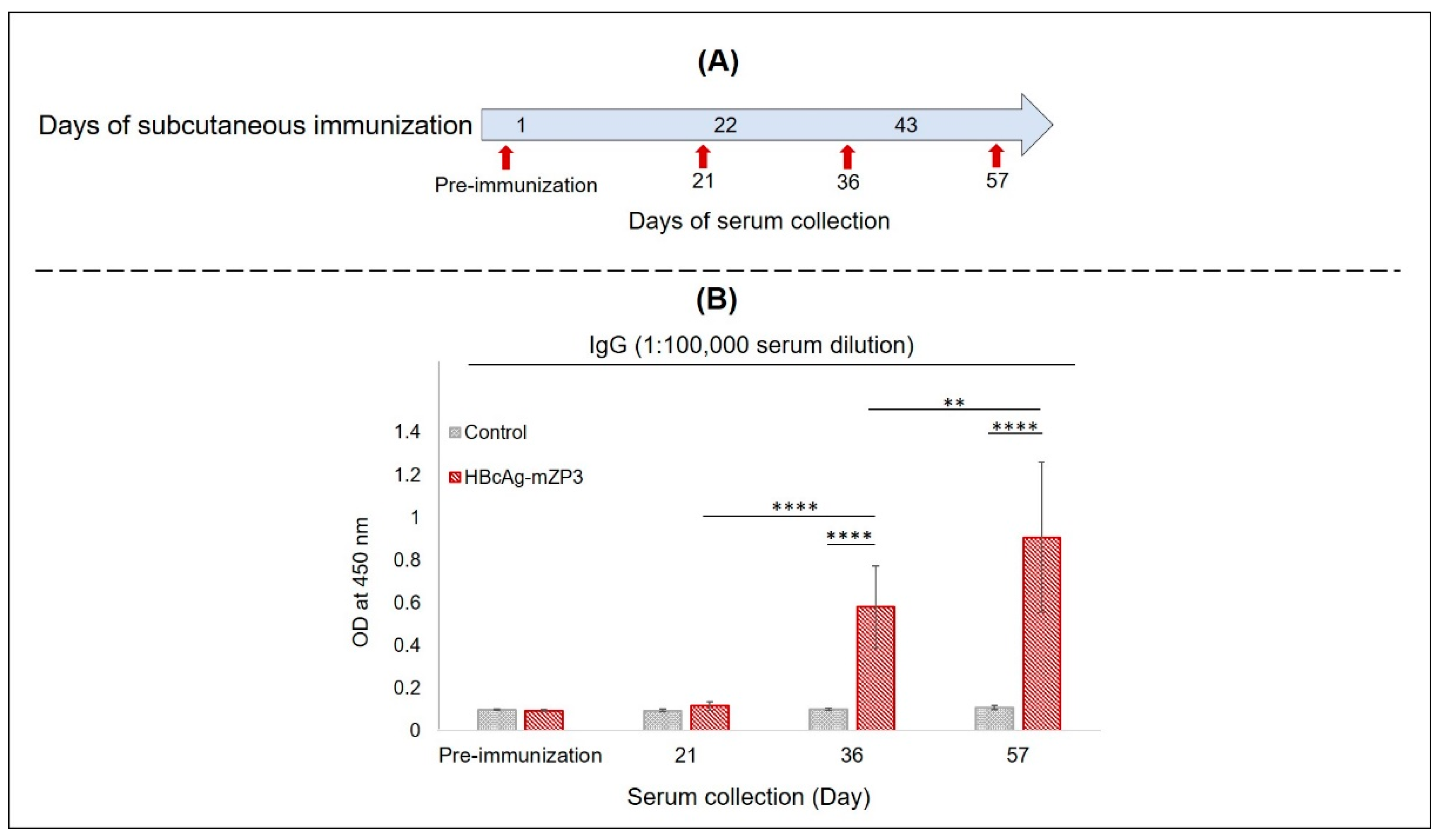 Vaccines 11 00462 g007