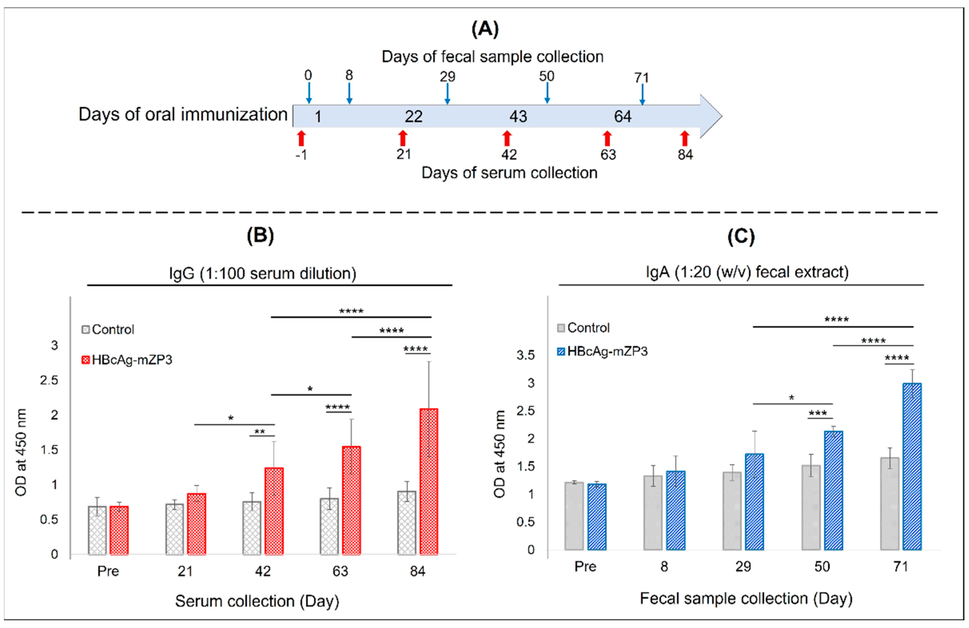 Vaccines 11 00462 g008