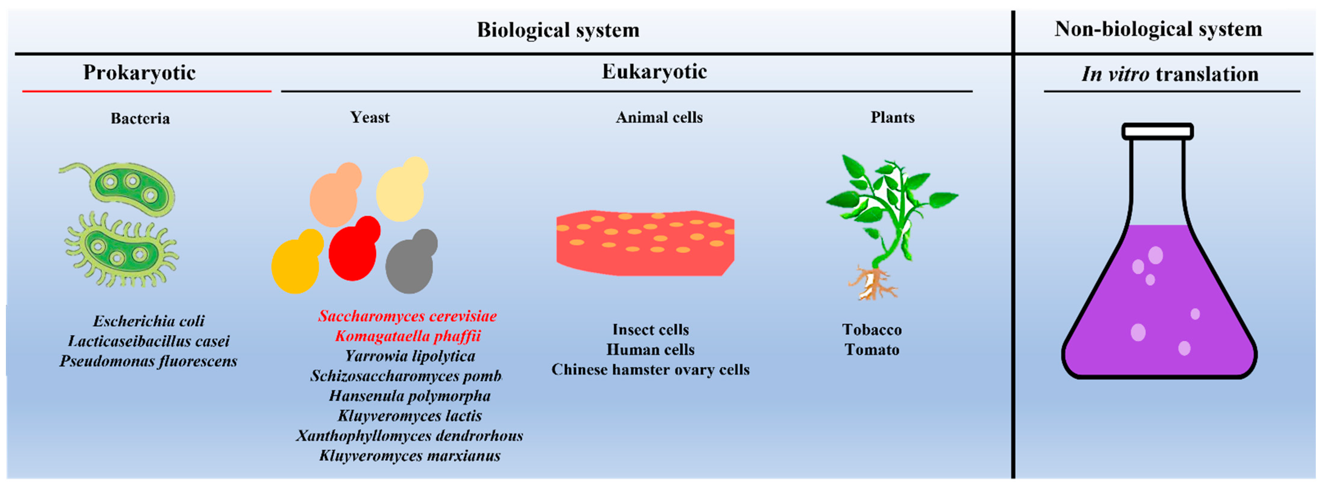 Vaccines 11 00479 g003 Vaccines 11 00479 g003