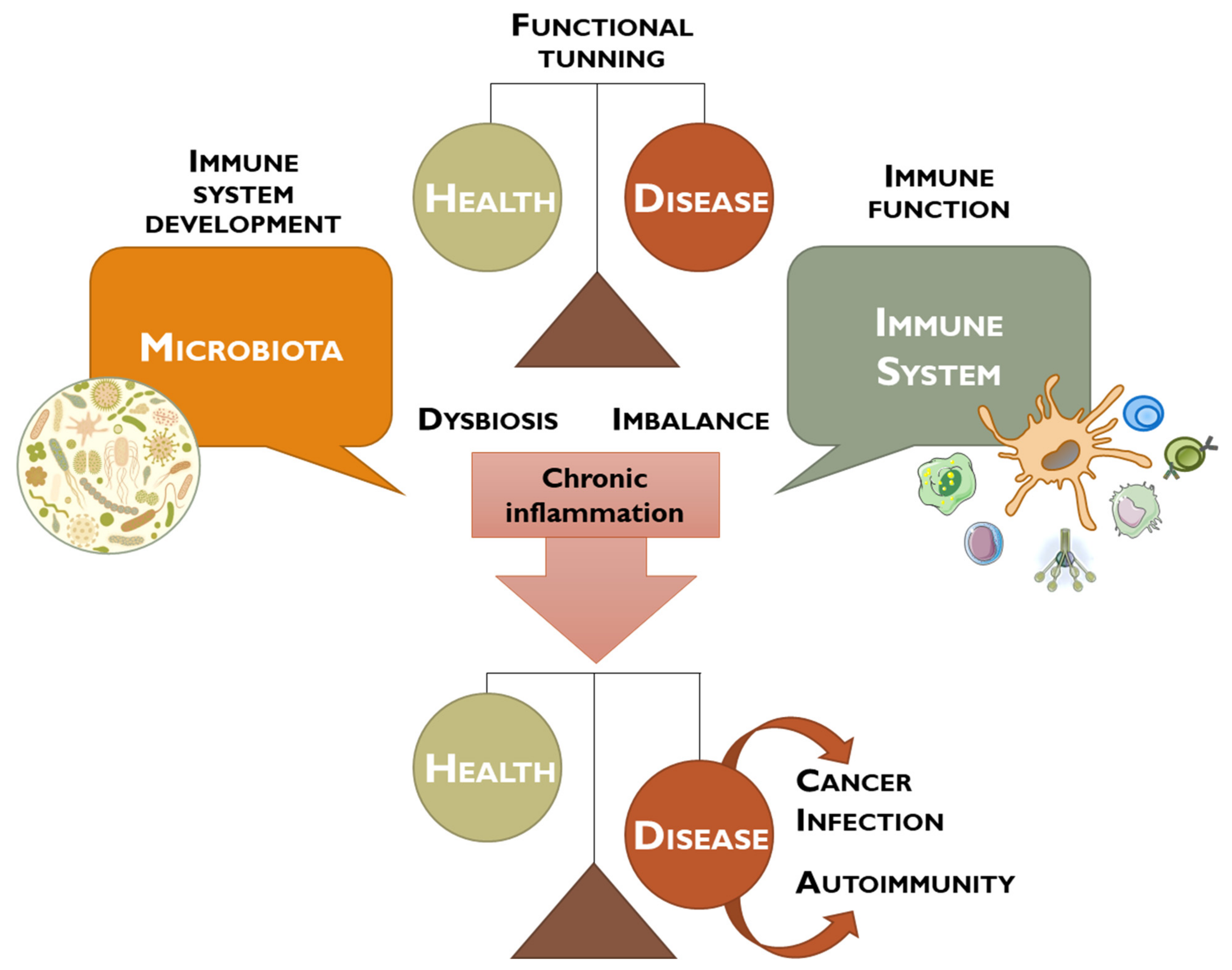 Vaccines 11 00492 g001