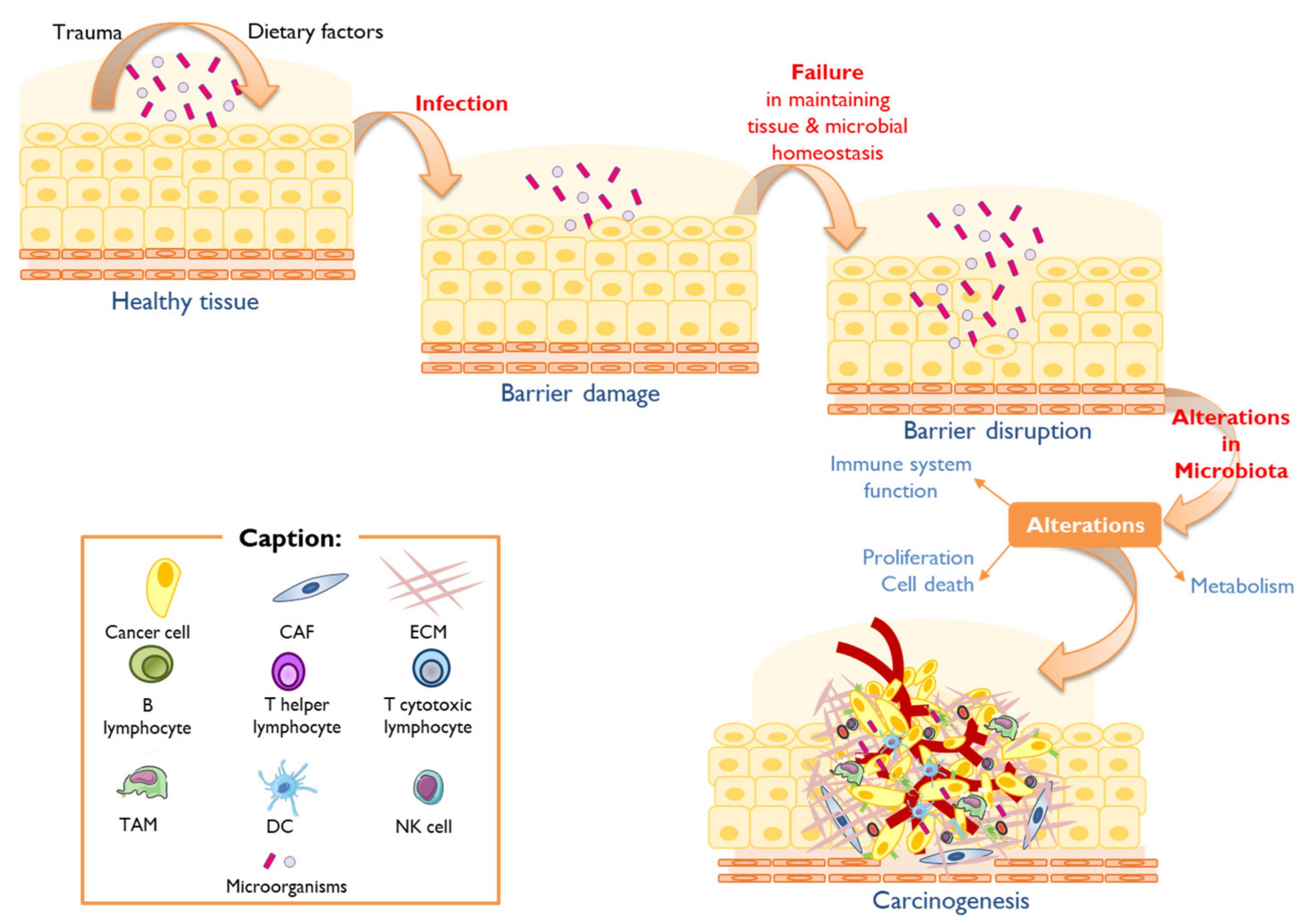 Vaccines 11 00492 g002