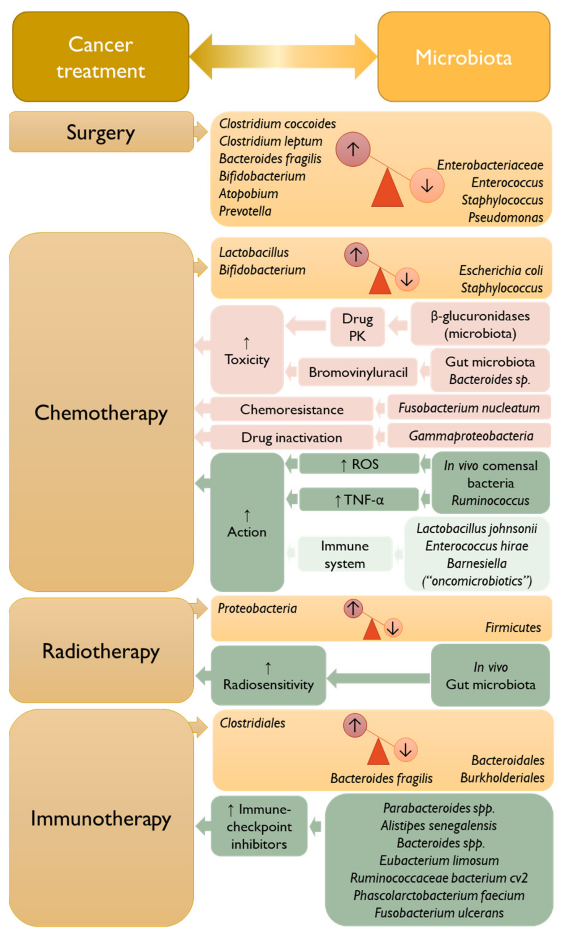 Vaccines 11 00492 g004