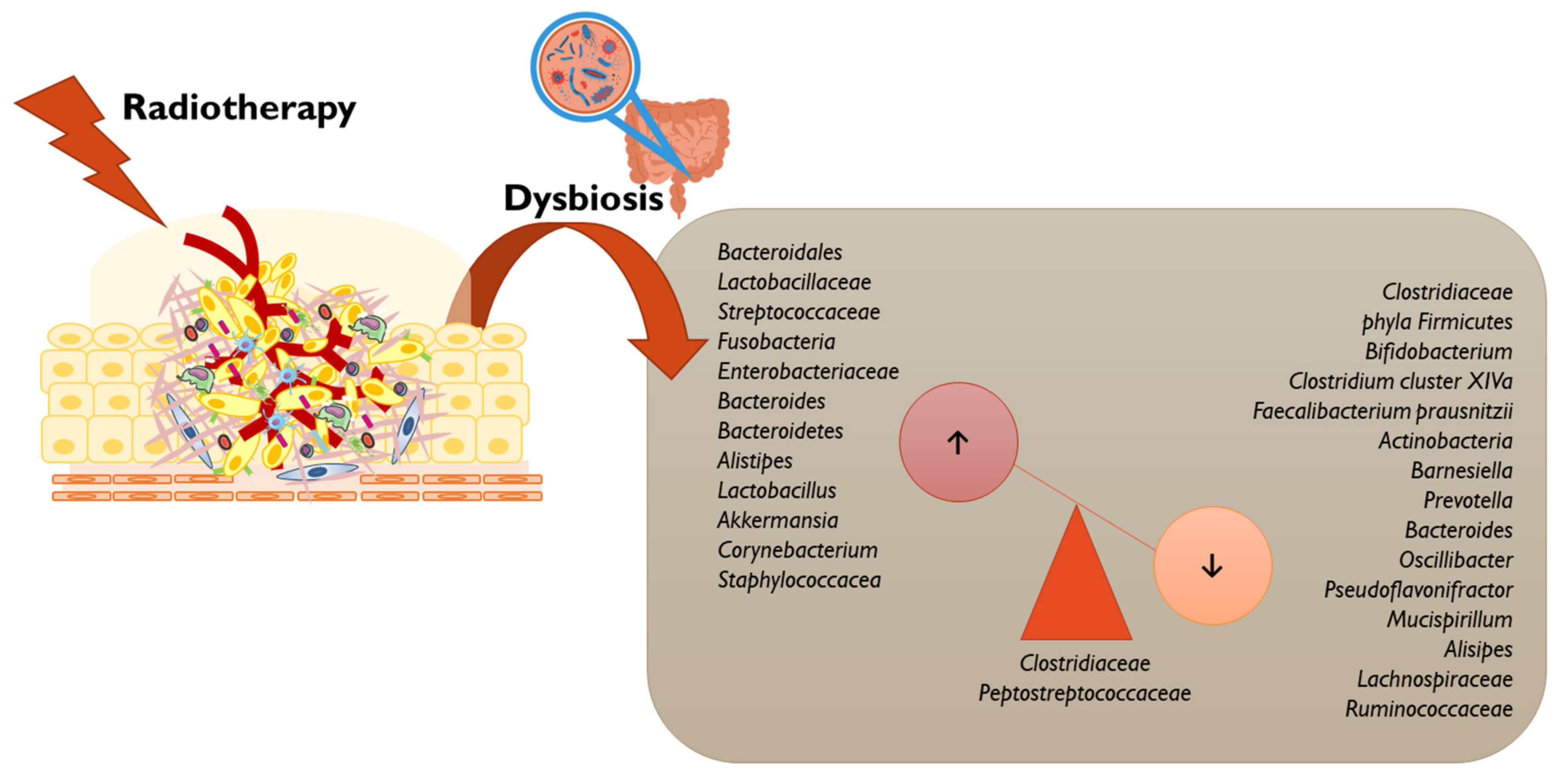 Vaccines 11 00492 g005