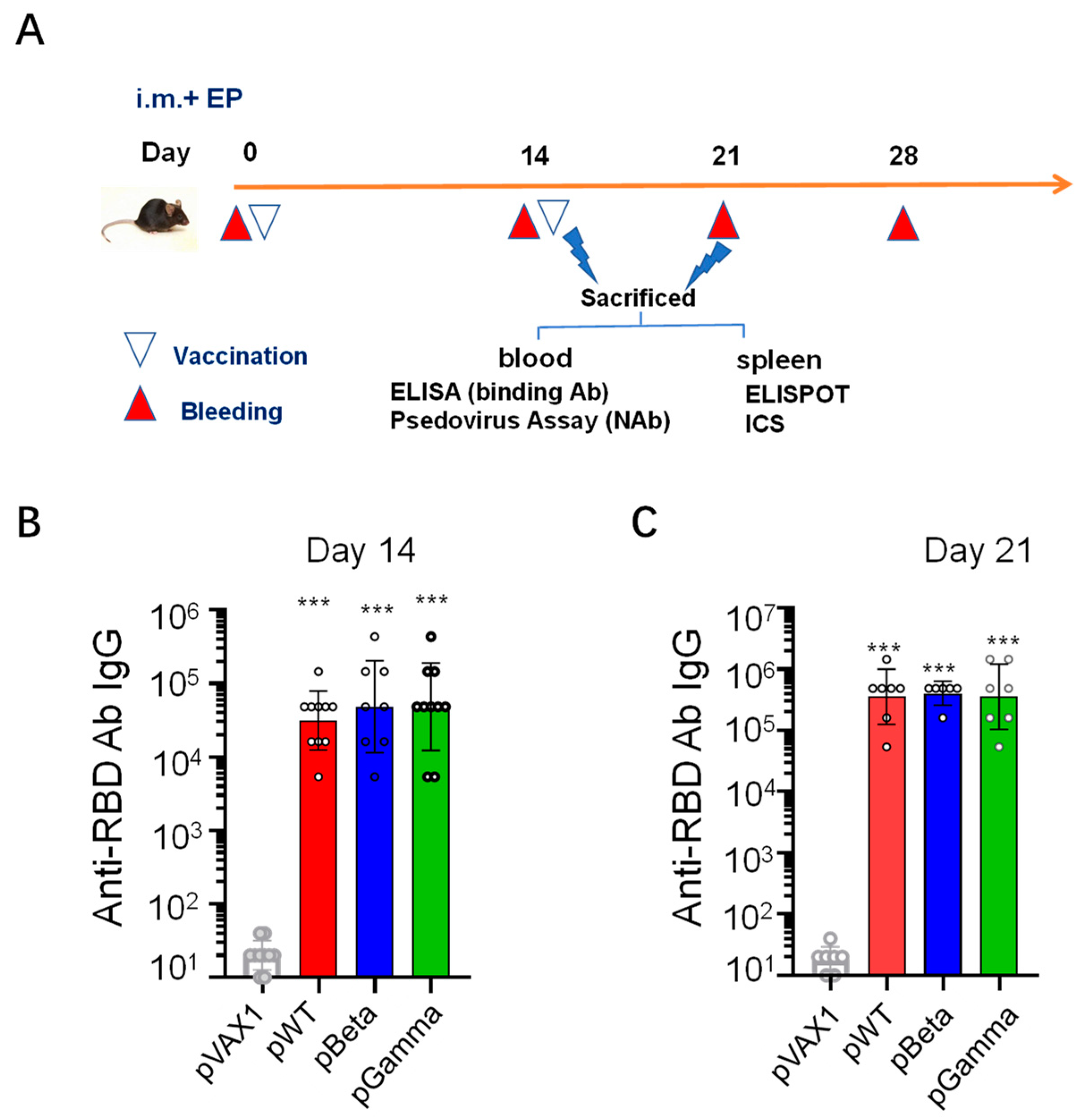 Vaccines 11 00513 g002
