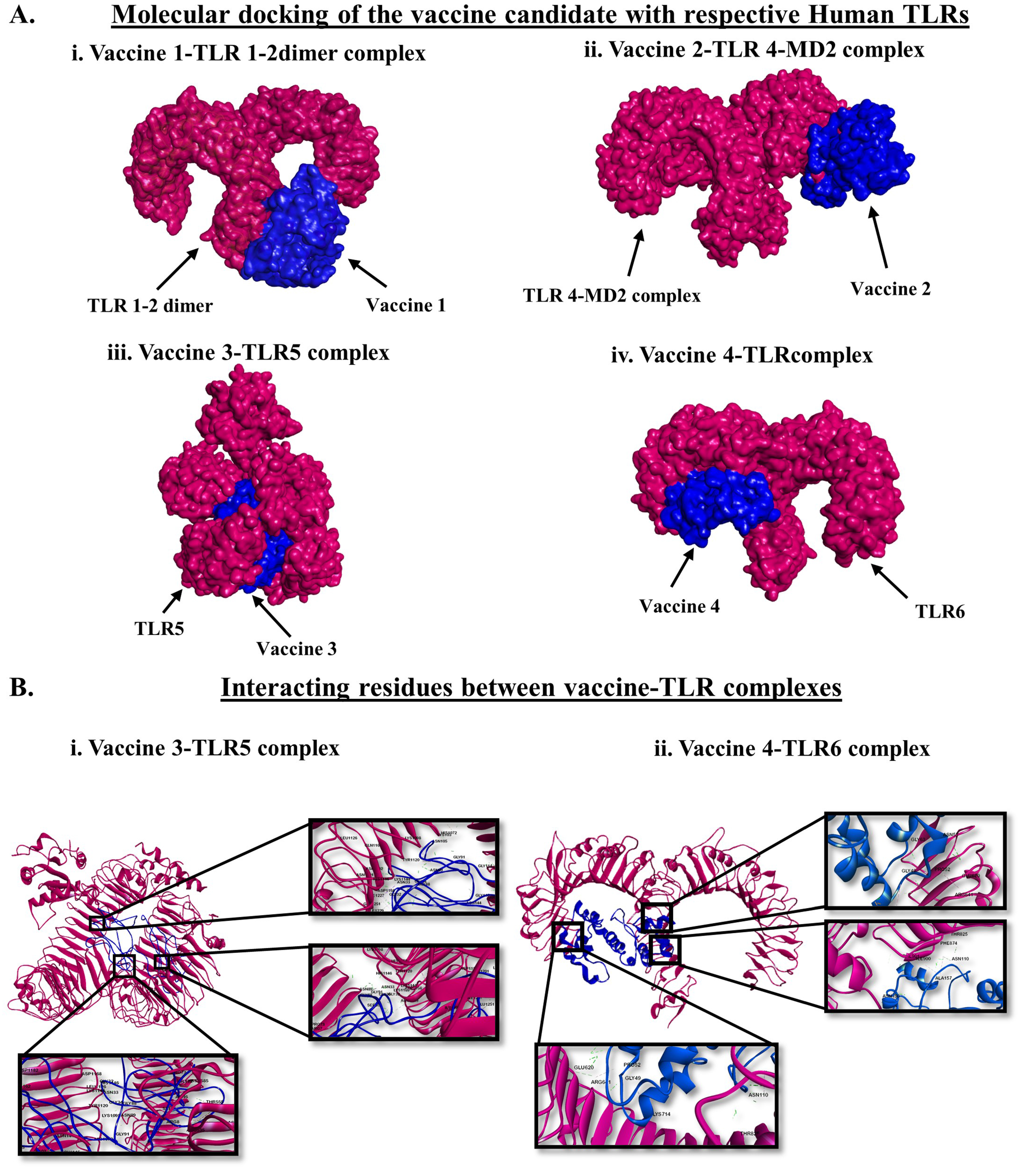 Vaccines 11 00525 g003 Vaccines 11 00525 g003