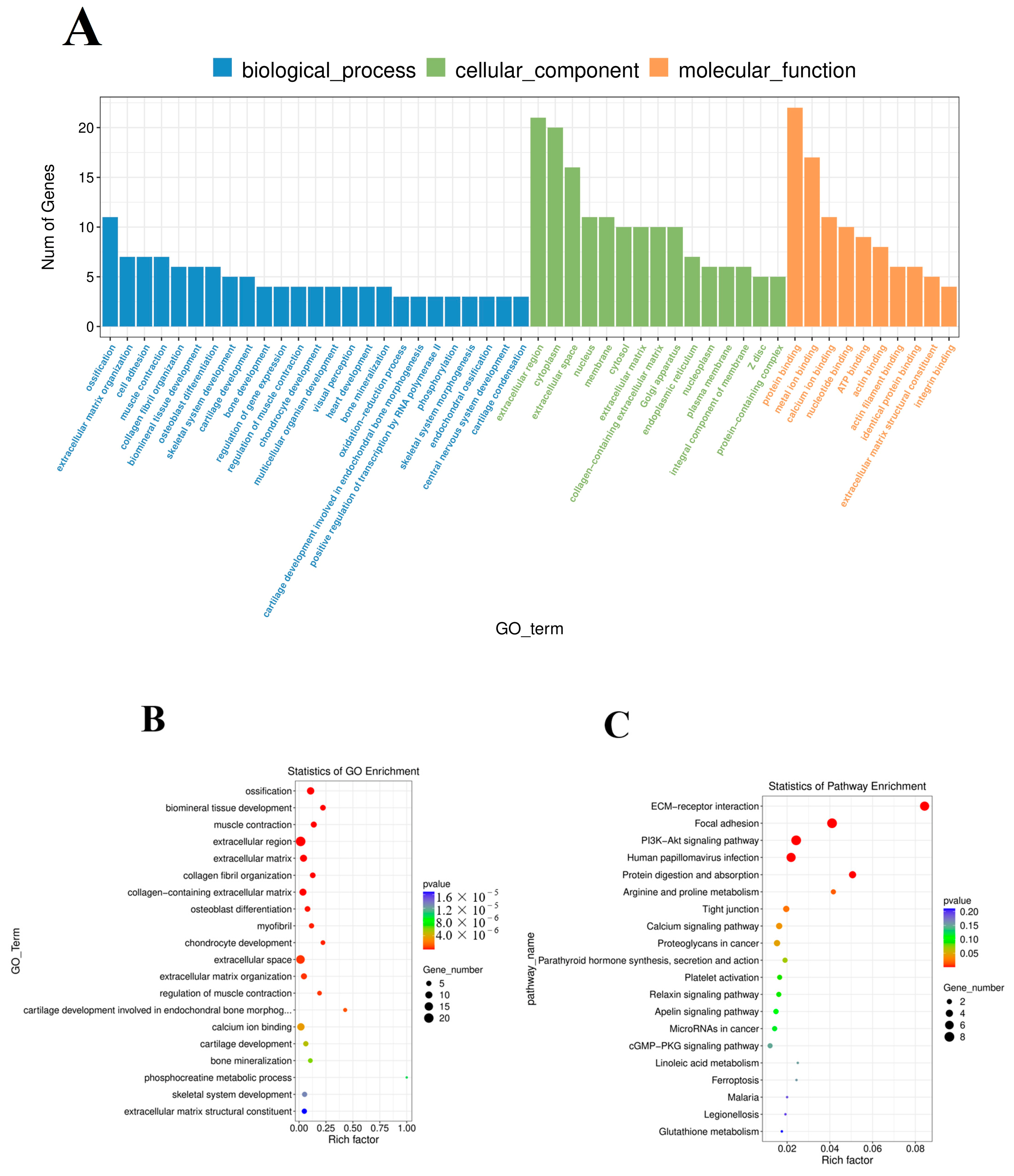 Vaccines 11 00529 g005