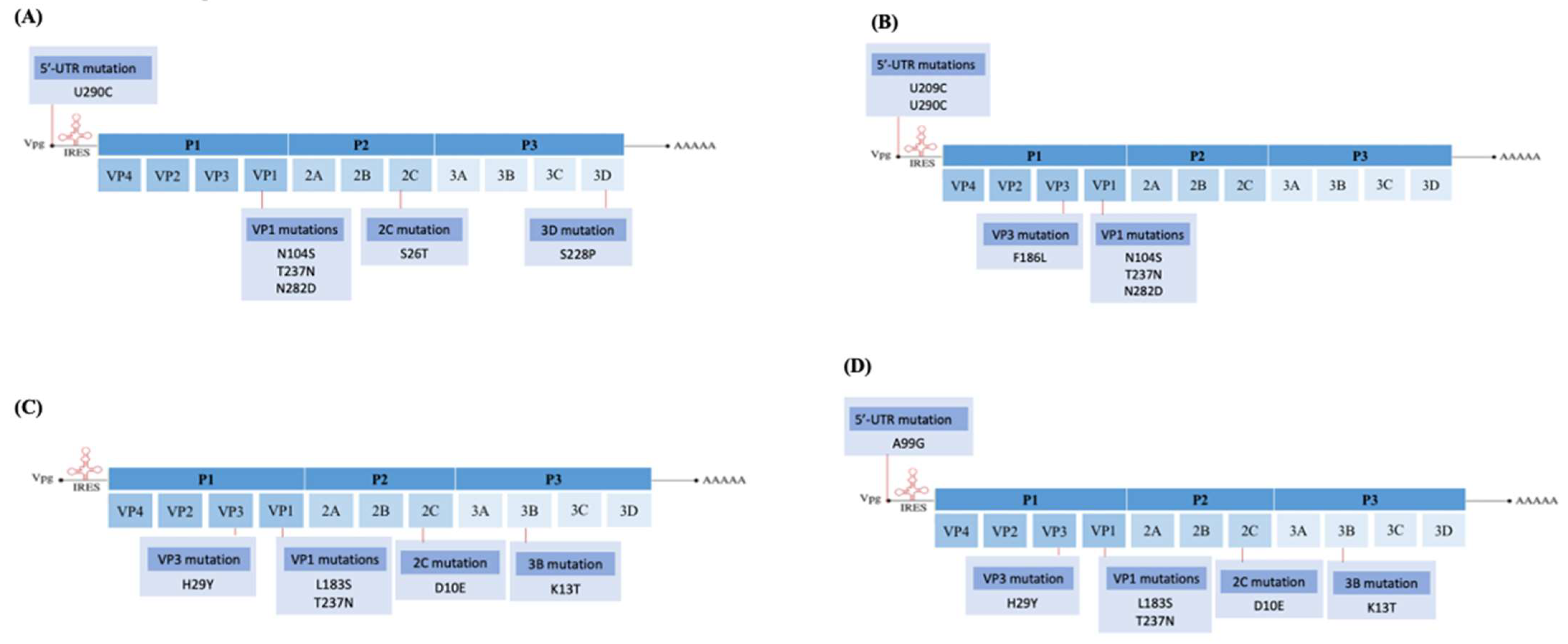 Vaccines 11 00629 g003