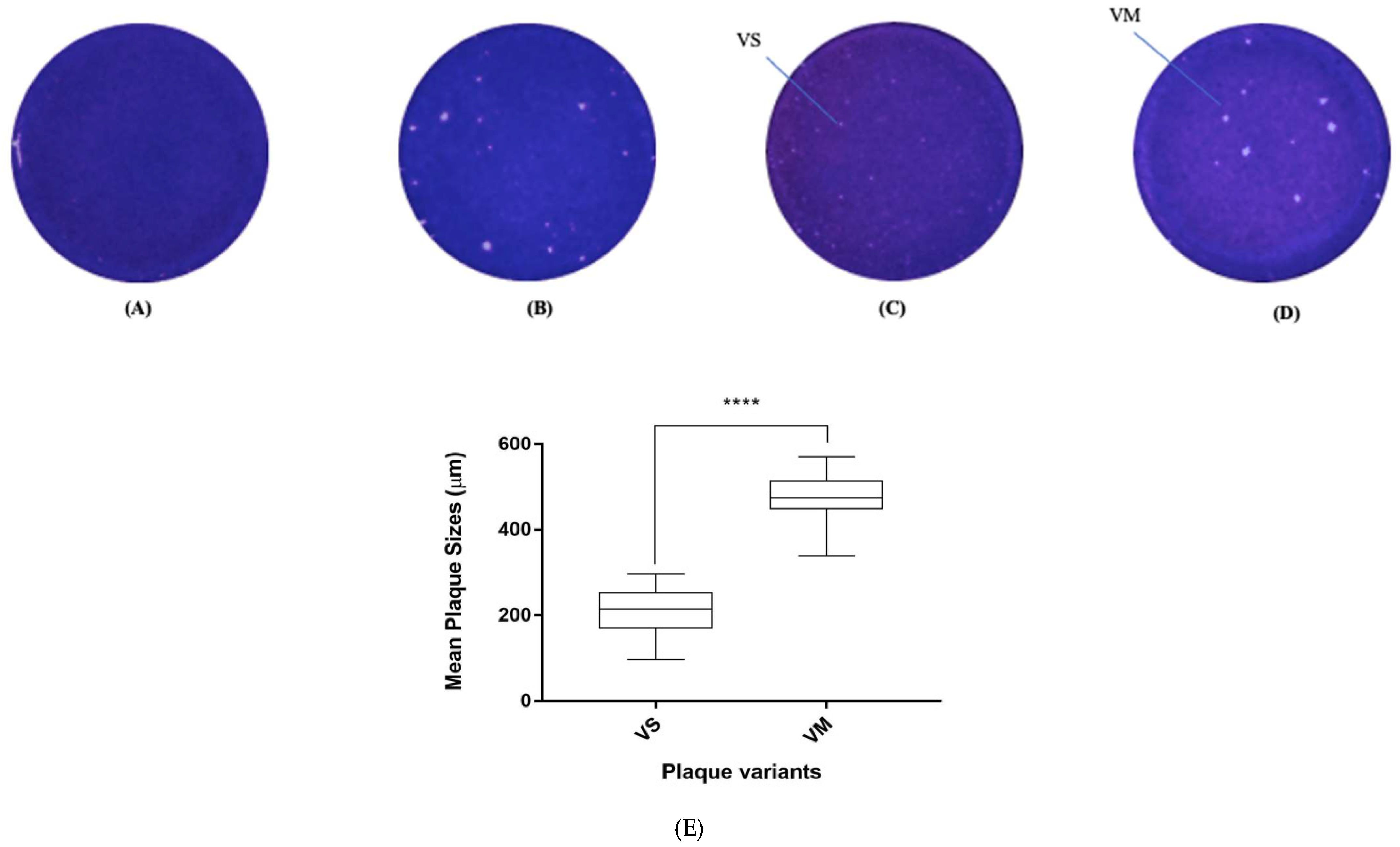 Vaccines 11 00629 g004