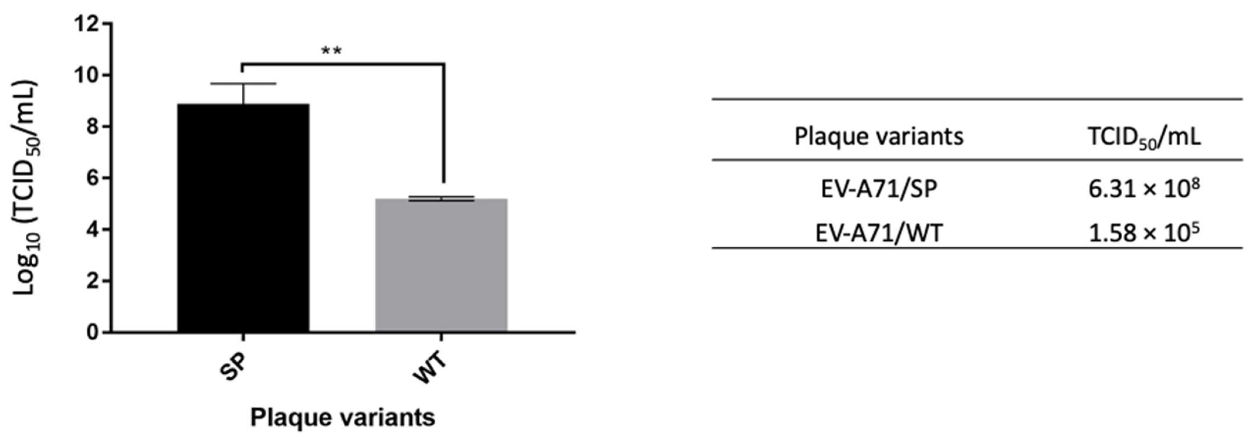 Vaccines 11 00629 g007