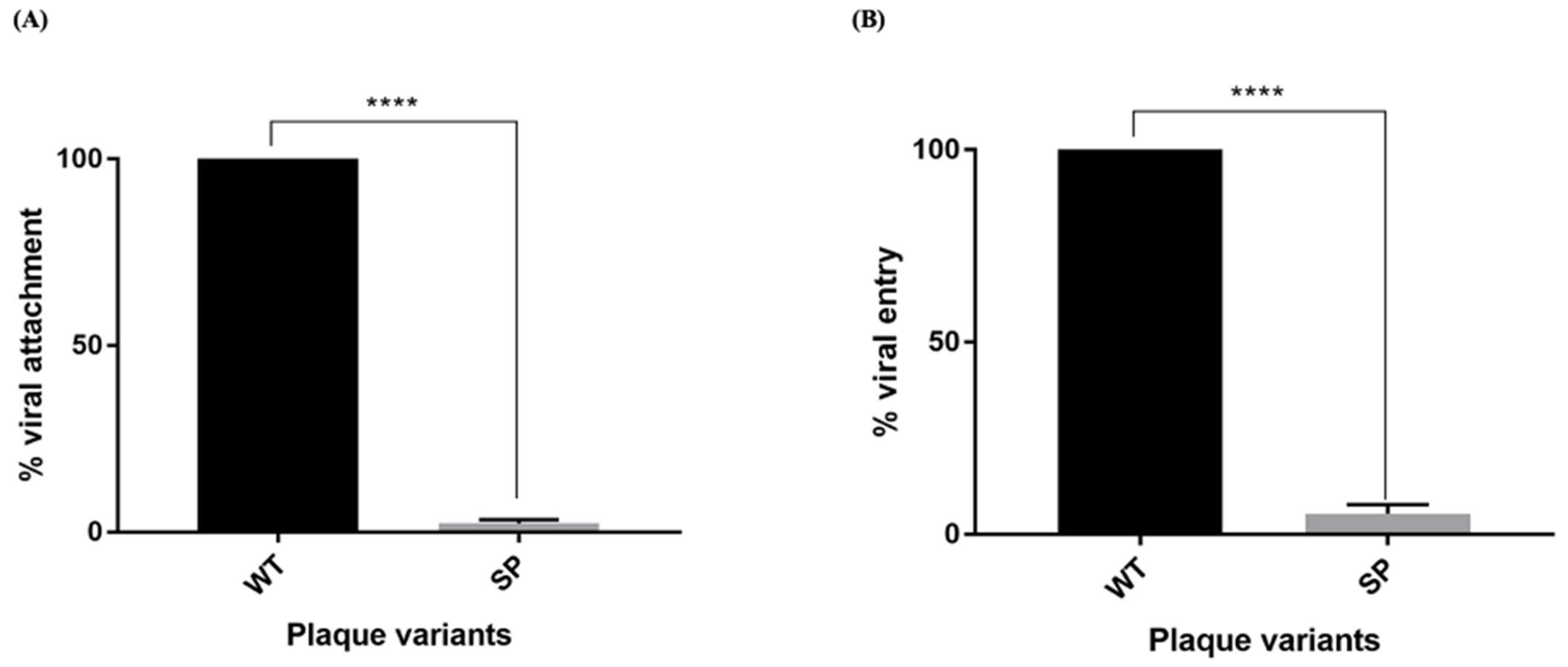 Vaccines 11 00629 g009