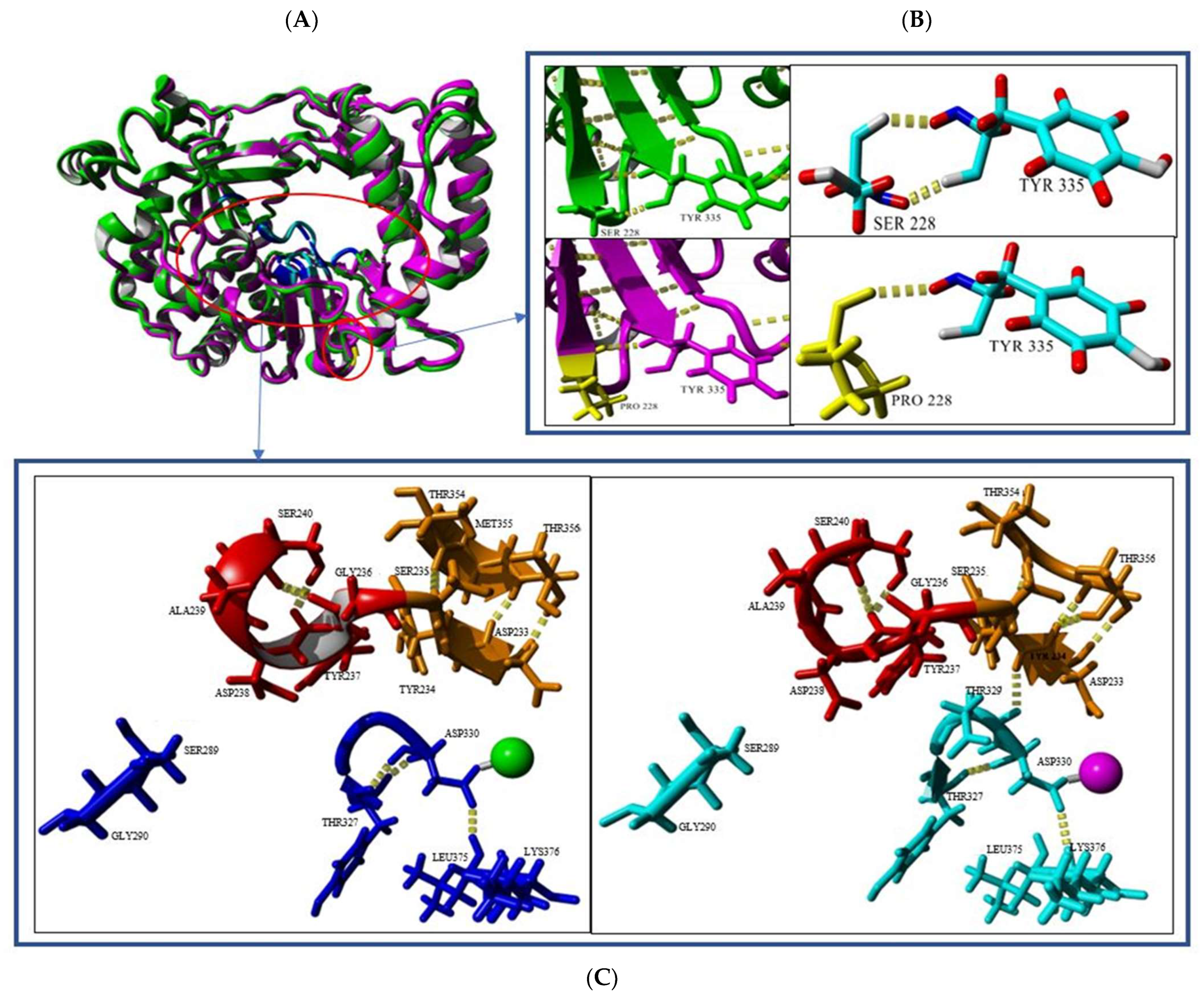 Vaccines 11 00629 g010