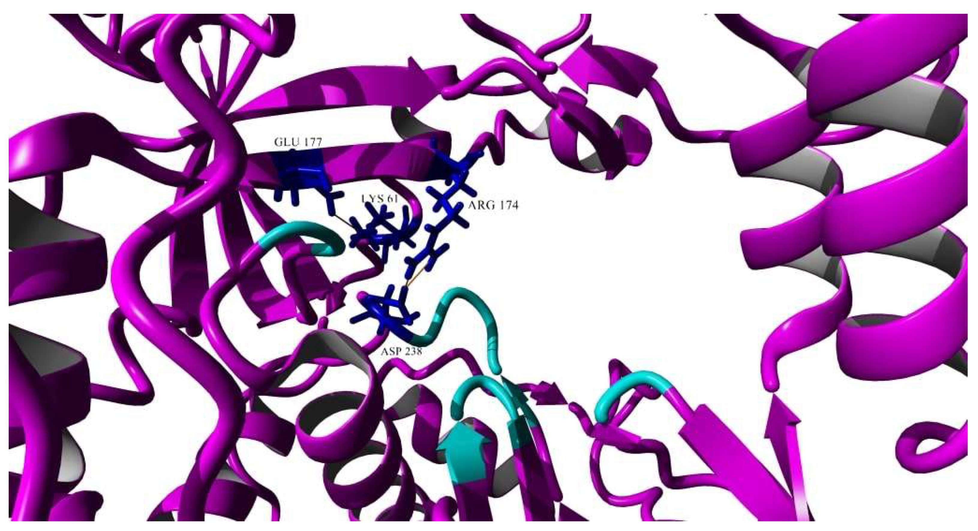 Vaccines 11 00629 g011