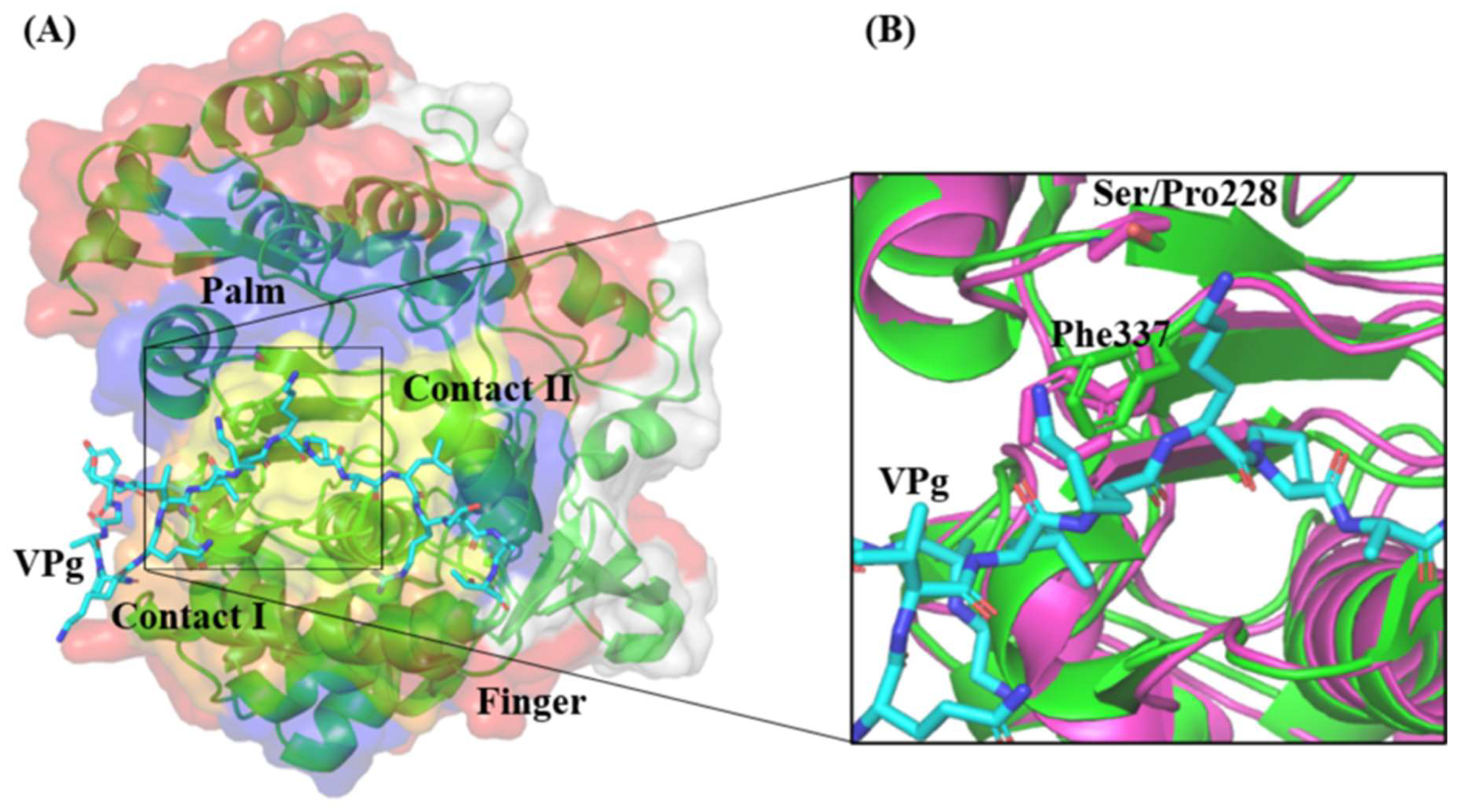 Vaccines 11 00629 g012