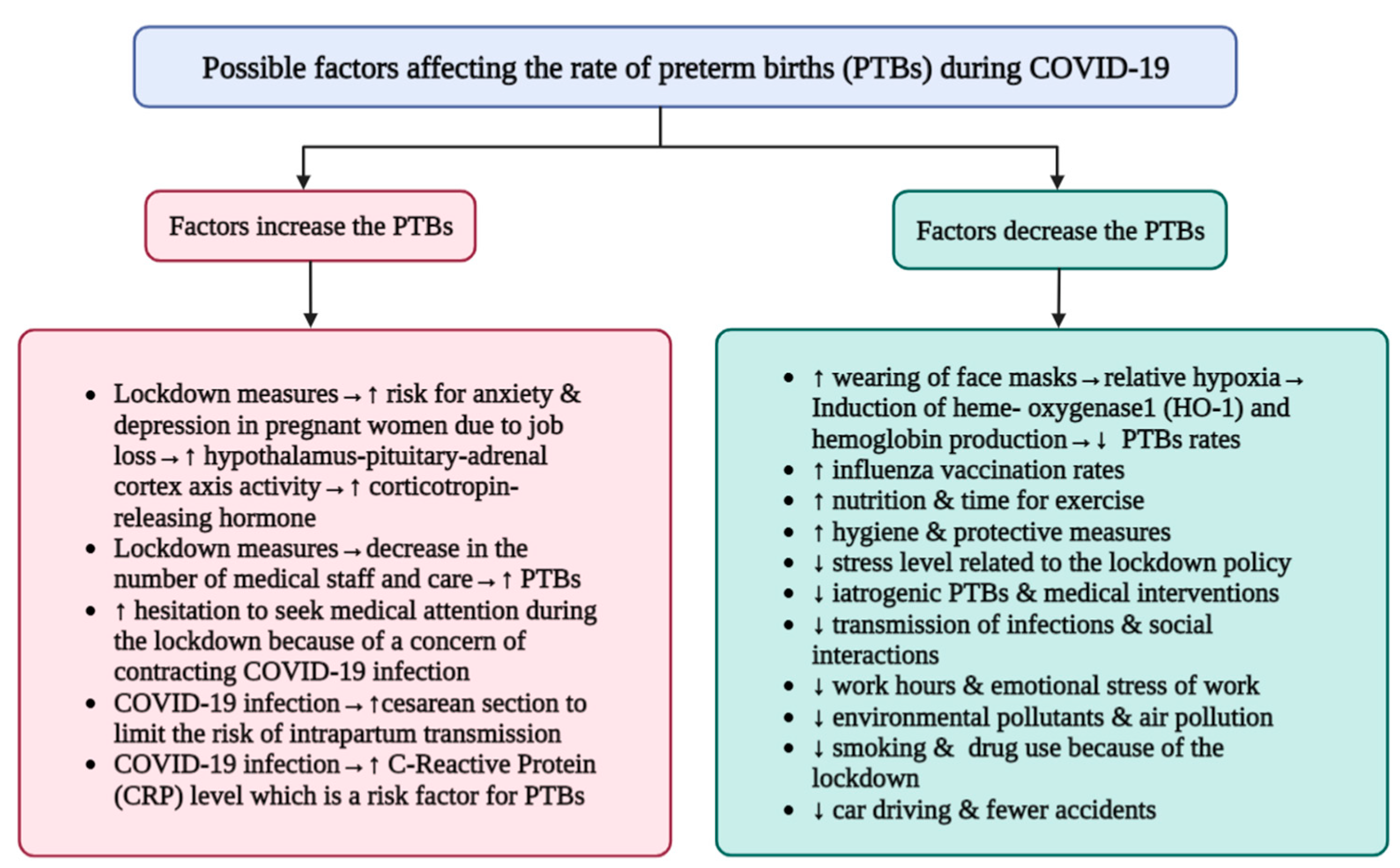 Pregnancy and novel Coronavirus: Facts for expectant mothers