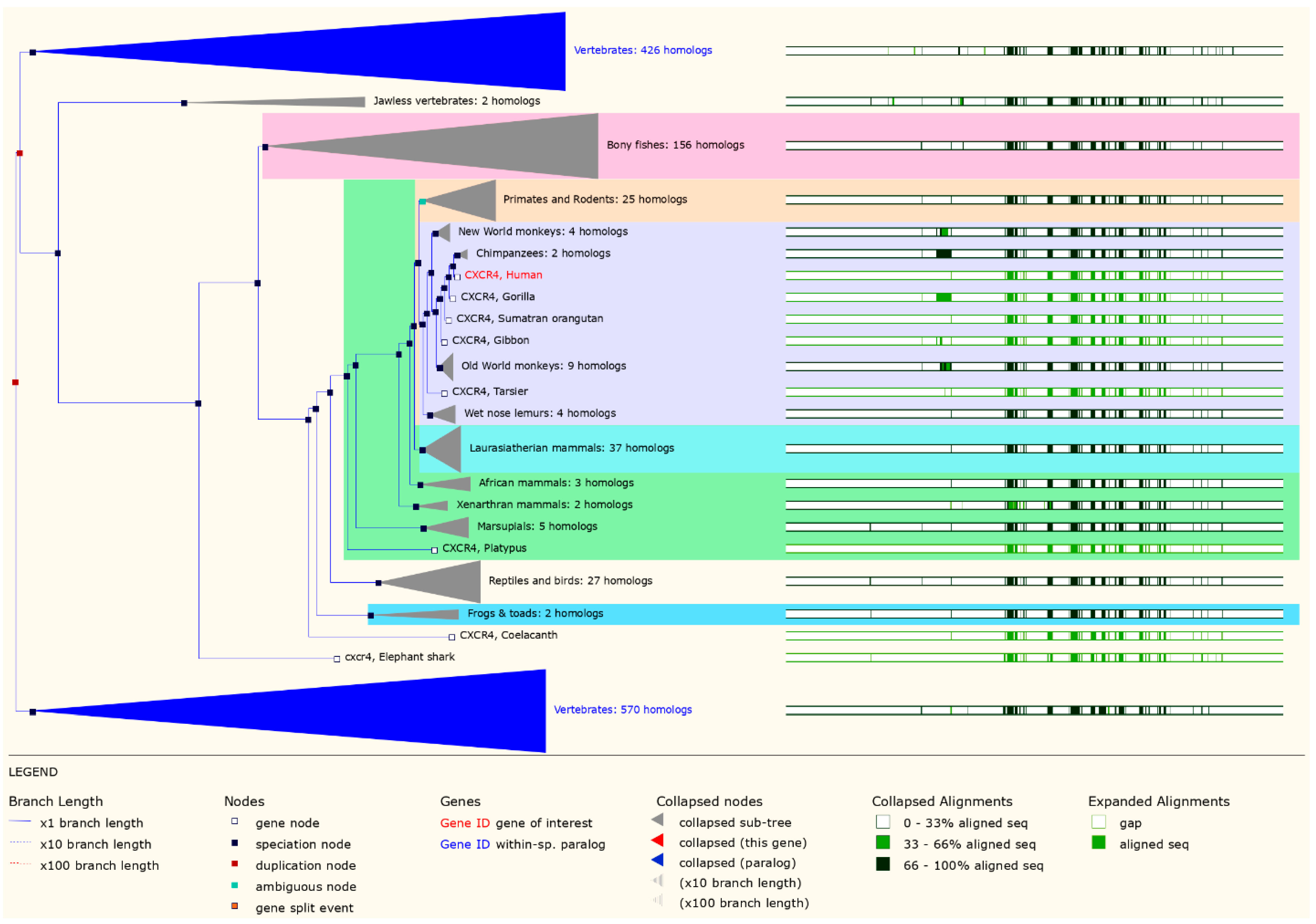 Unbound Platform goes V2. In the rapidly evolving landscape of