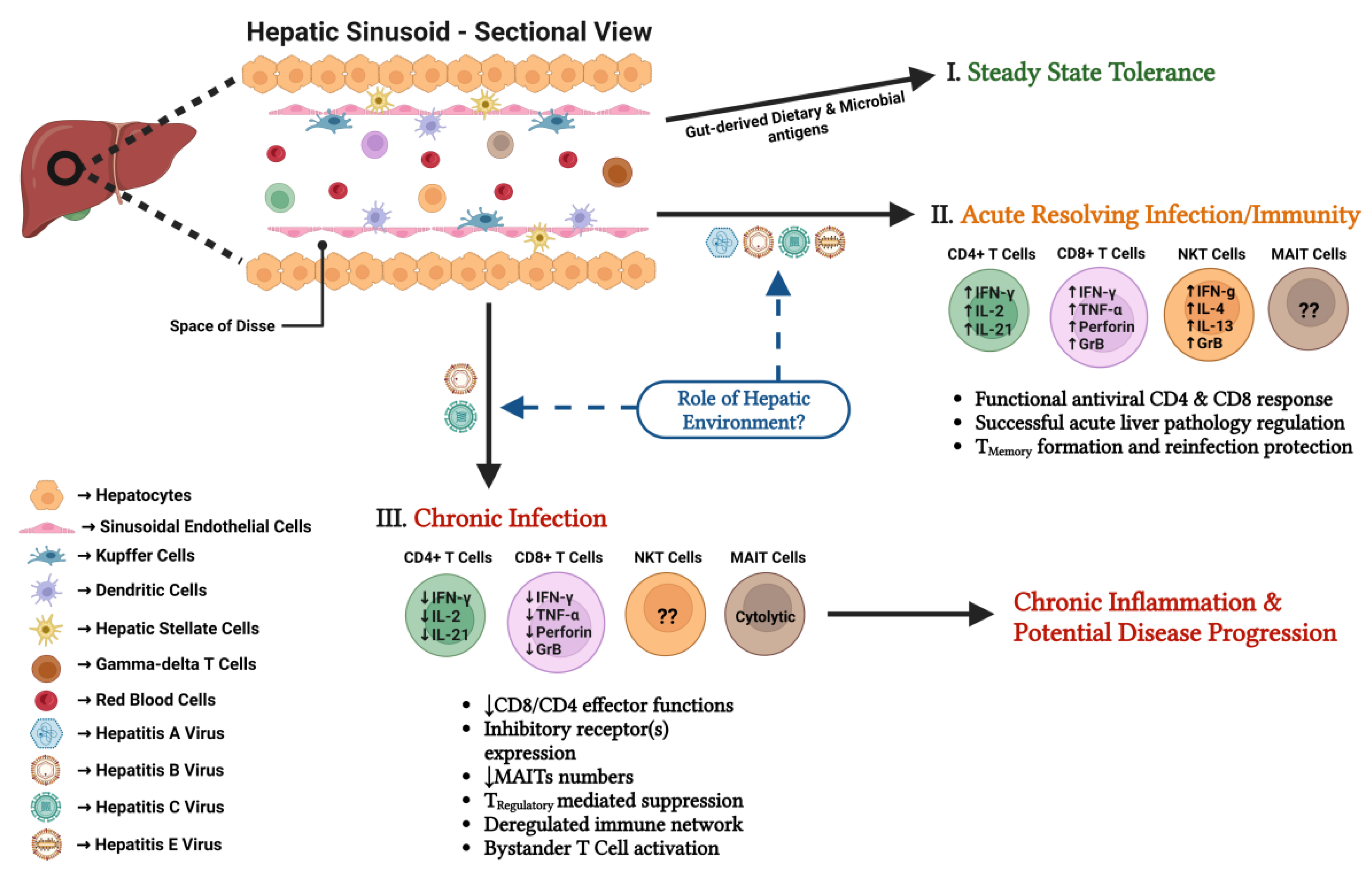 Vaccines 11 00681 g001