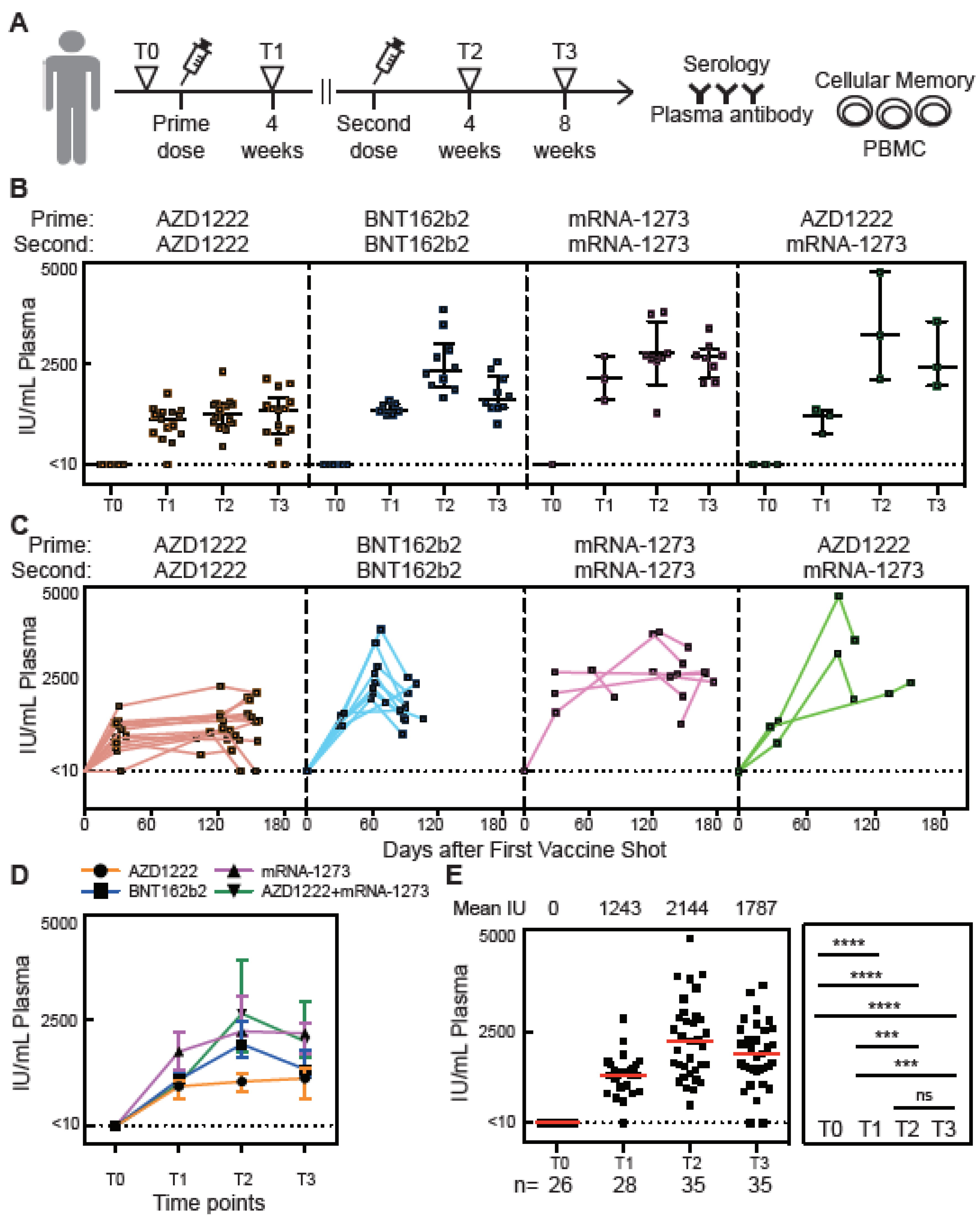 Vaccines | Free Full-Text | Tracking B Cell Memory to SARS-CoV-2