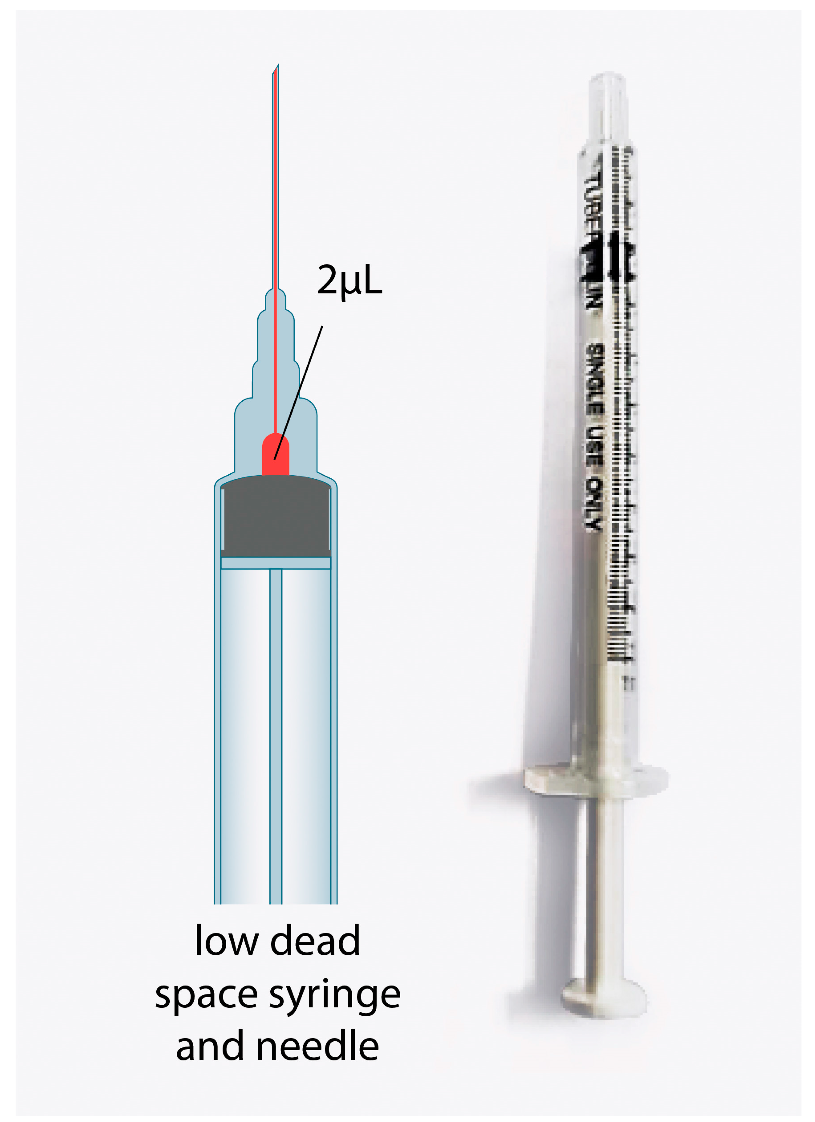 Vaccines | Free Full-Text | Effectiveness of the Air-Filled Technique to  Reduce the Dead Space in Syringes and Needles during ChAdox1-n CoV Vaccine  Administration