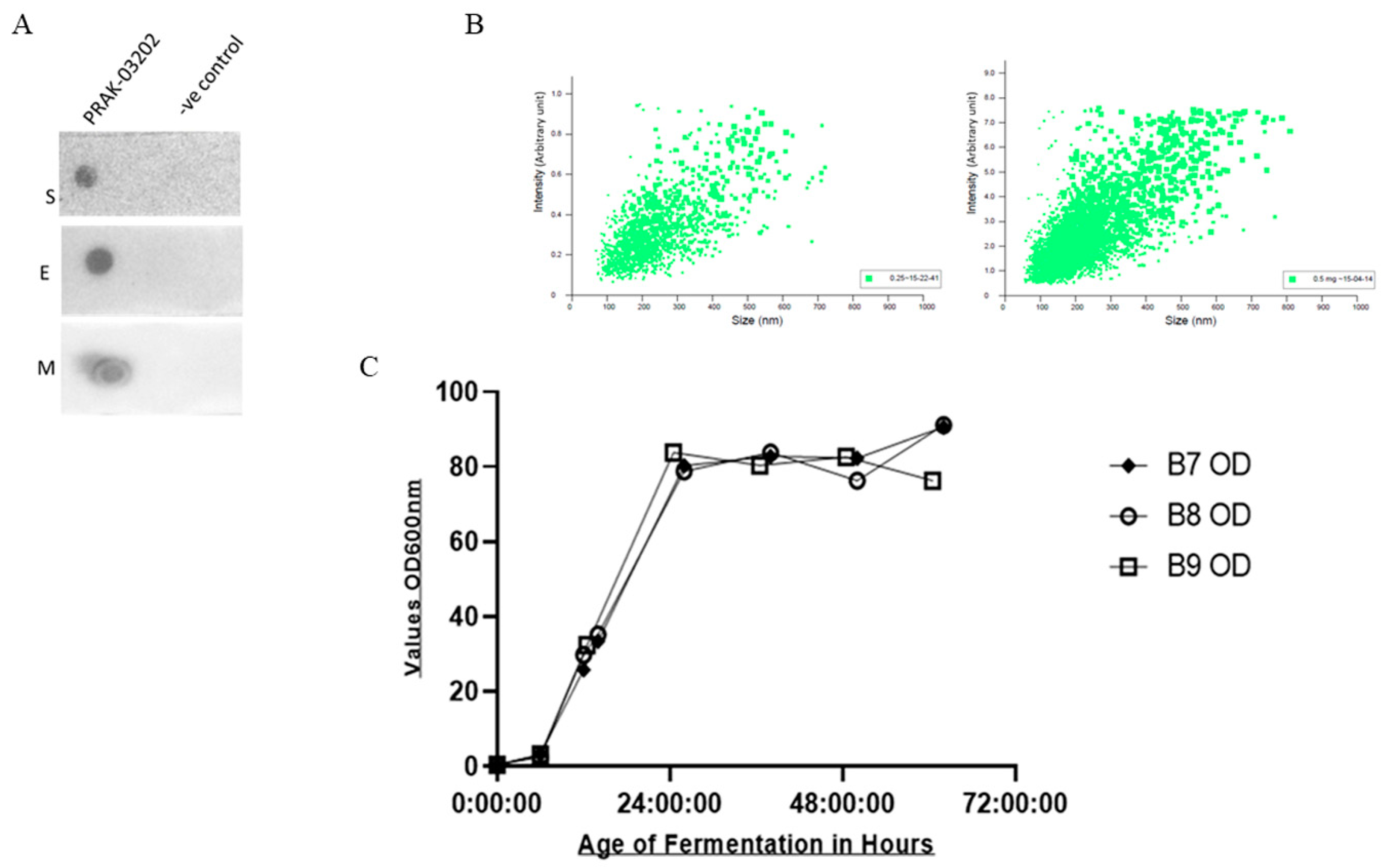 Human SARS-CoV-2 Spike (Trimer) IgG ELISA Kit - Invitrogen