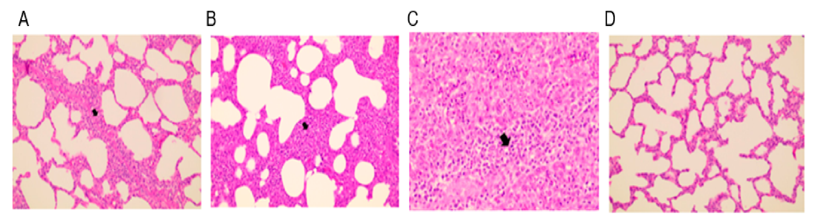 Vaccines 11 00777 g006