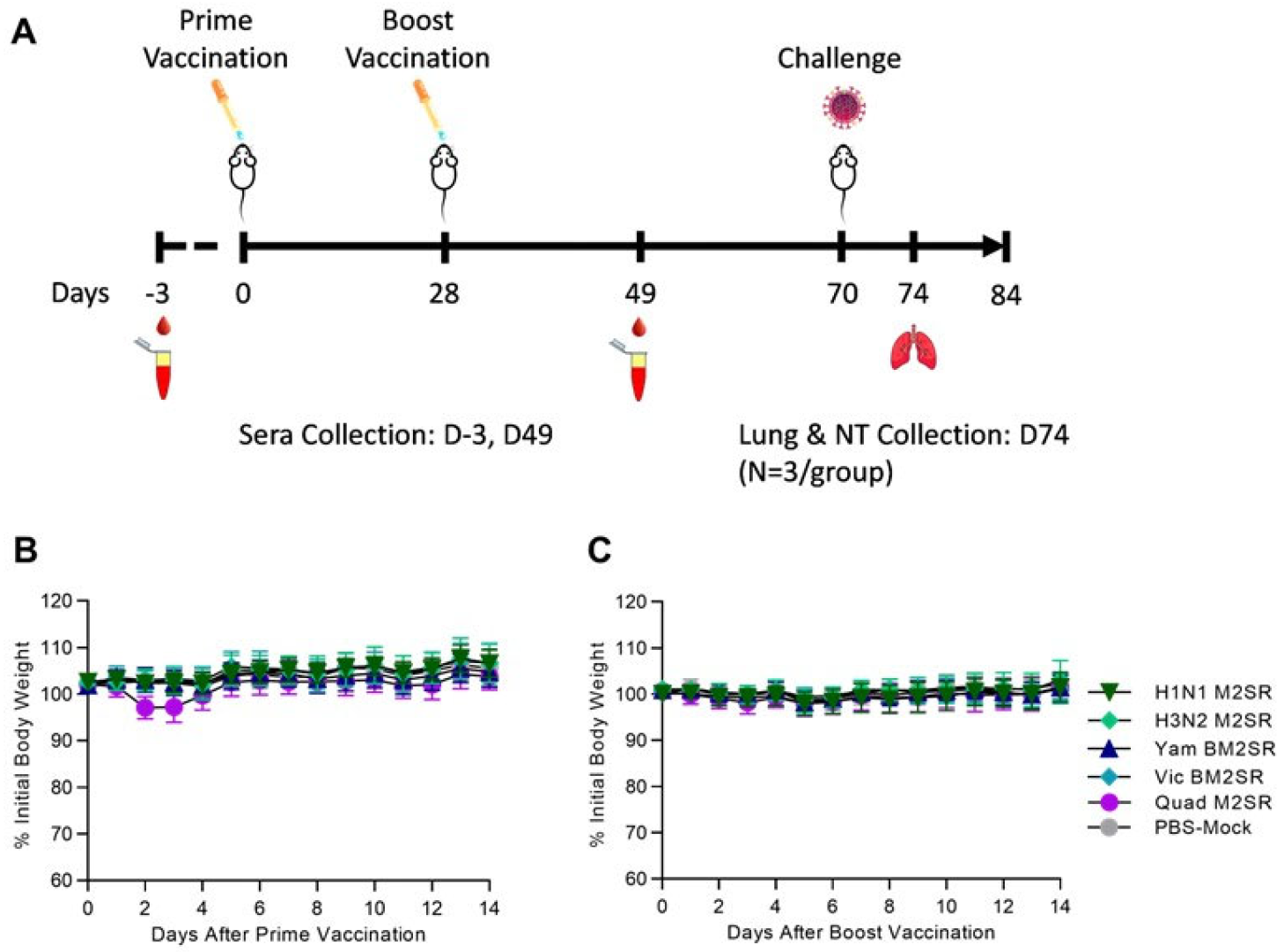 Vaccines 11 00798 g001 Vaccines 11 00798 g001