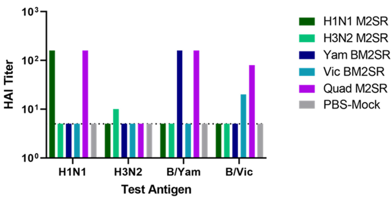 Vaccines 11 00798 g002 Vaccines 11 00798 g002