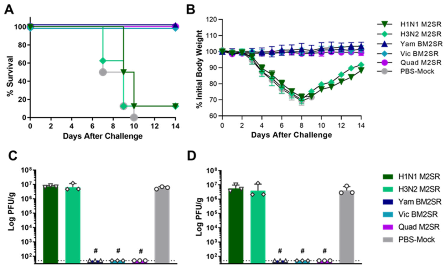 Vaccines 11 00798 g004 Vaccines 11 00798 g004
