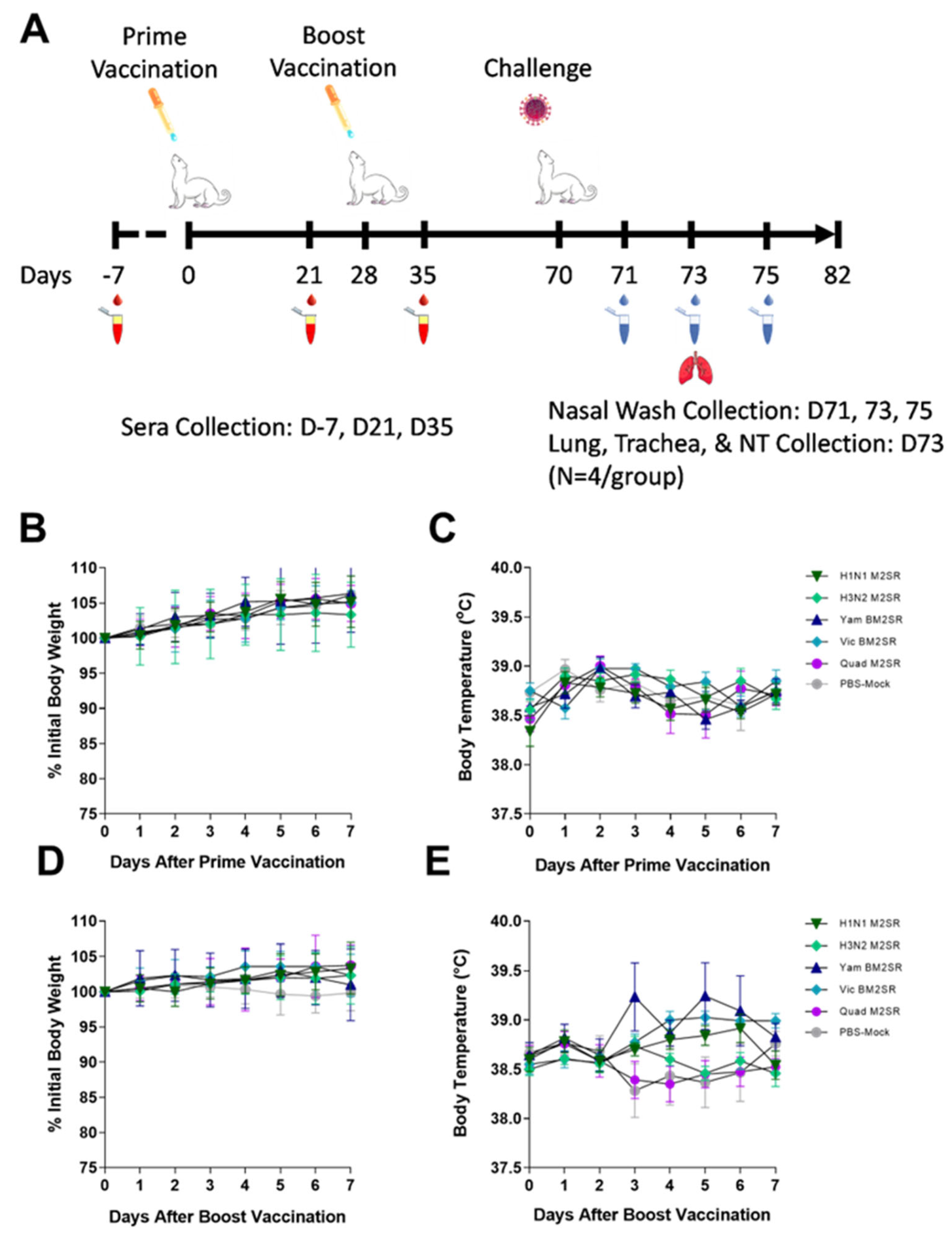 Vaccines 11 00798 g005 Vaccines 11 00798 g005