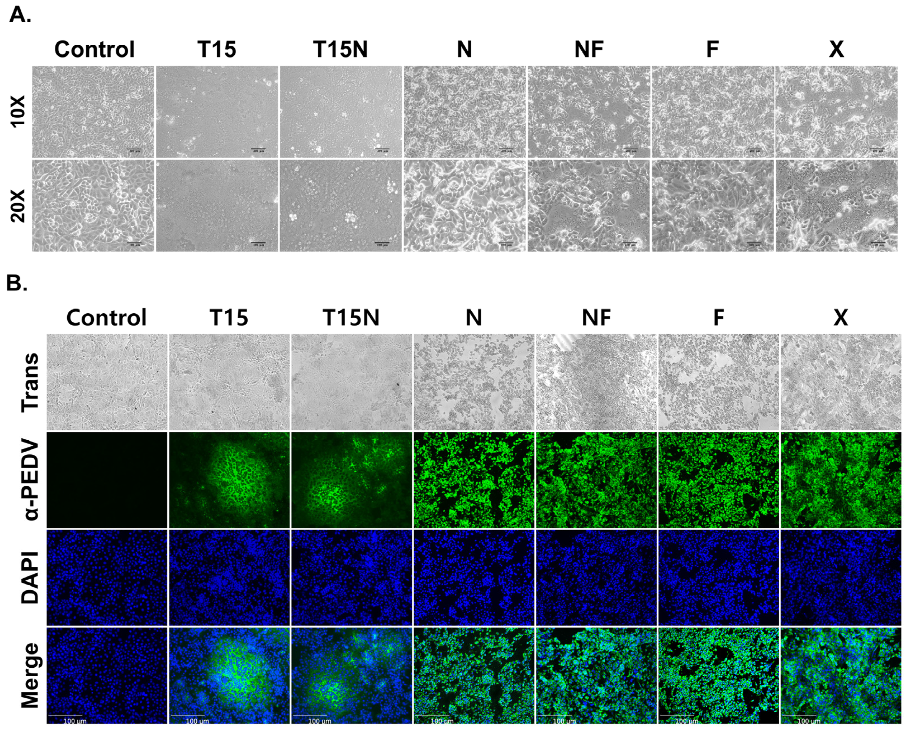 Vaccines 11 00923 g002 Vaccines 11 00923 g002