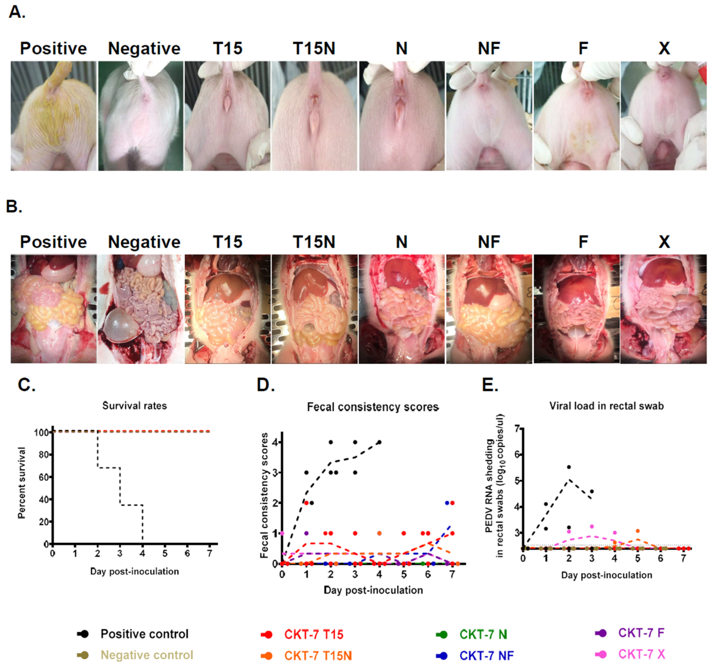 Vaccines 11 00923 g003 Vaccines 11 00923 g003