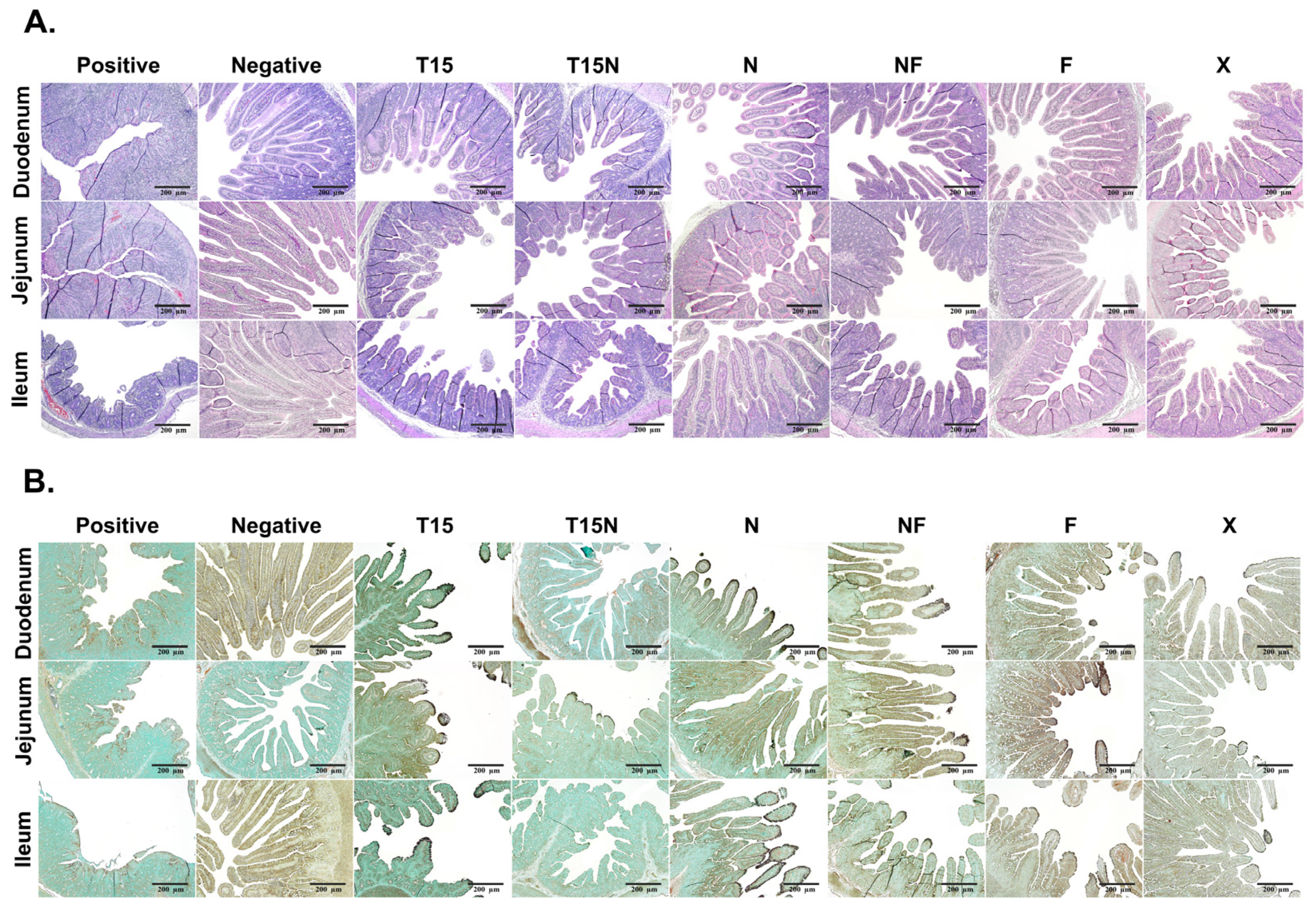 Vaccines 11 00923 g004 Vaccines 11 00923 g004