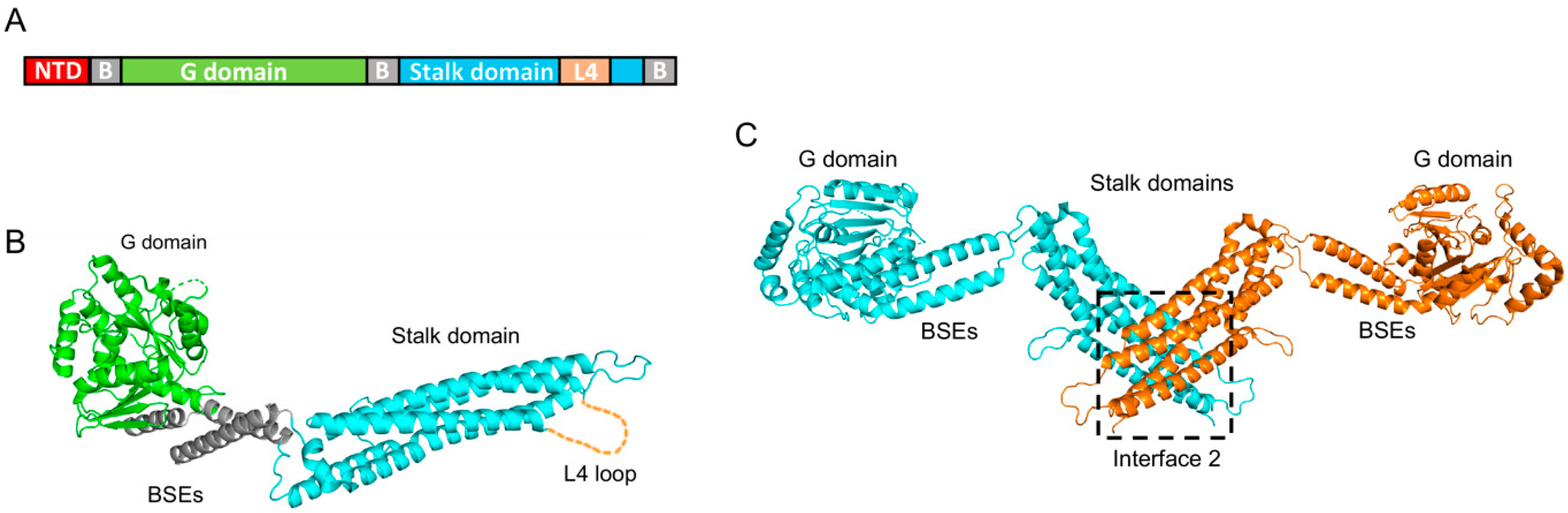 Vaccines 11 00930 g002