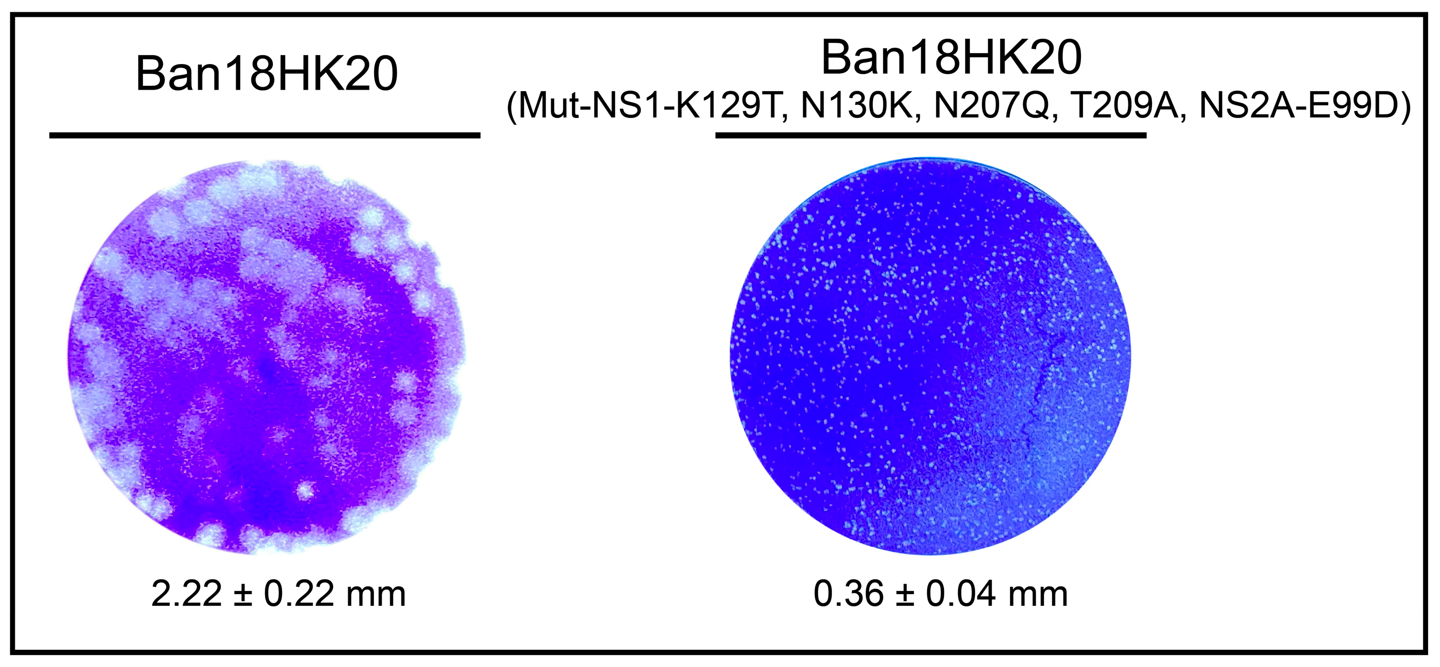 Vaccines 11 00959 g005