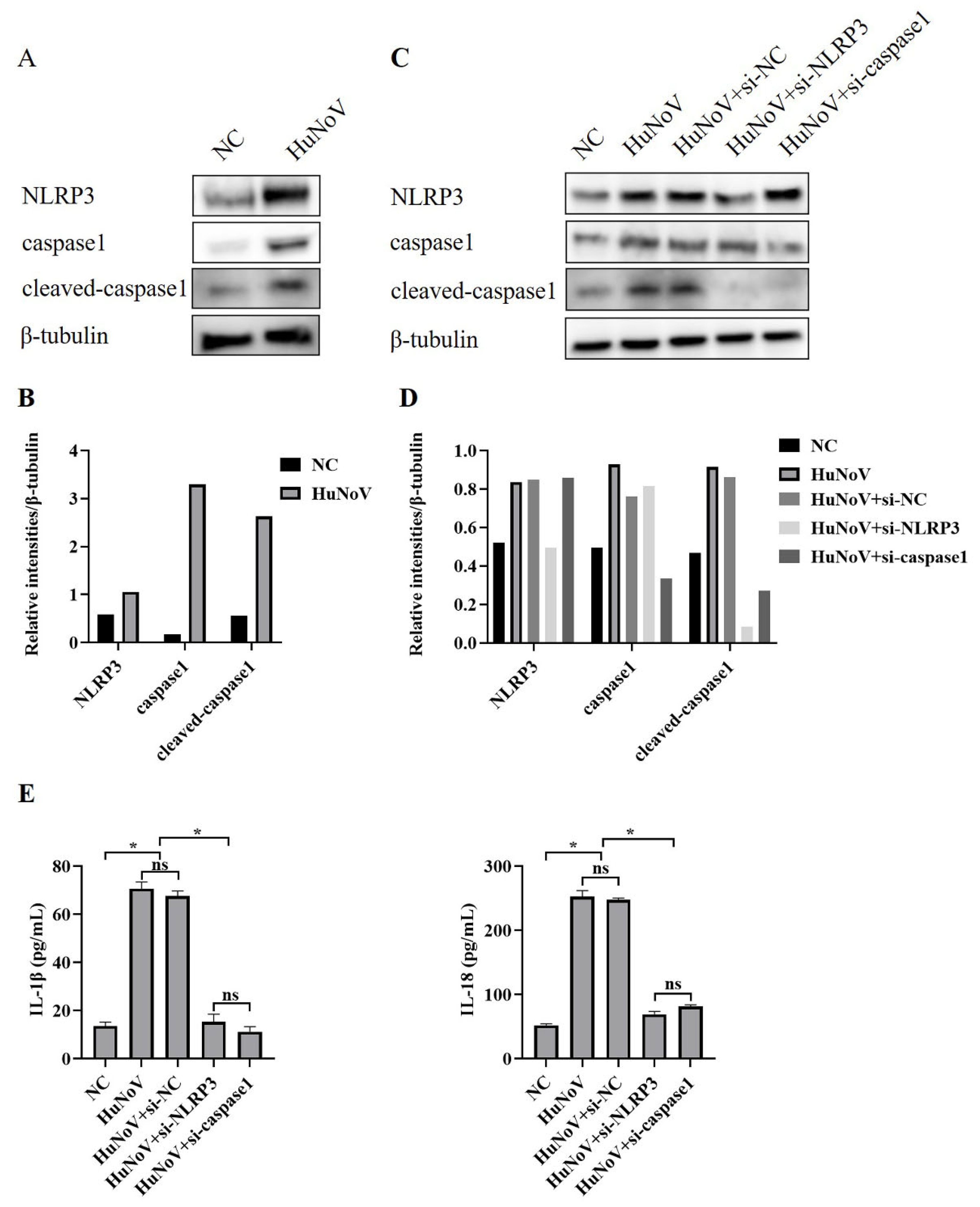 Vaccines 11 00993 g002 Vaccines 11 00993 g002