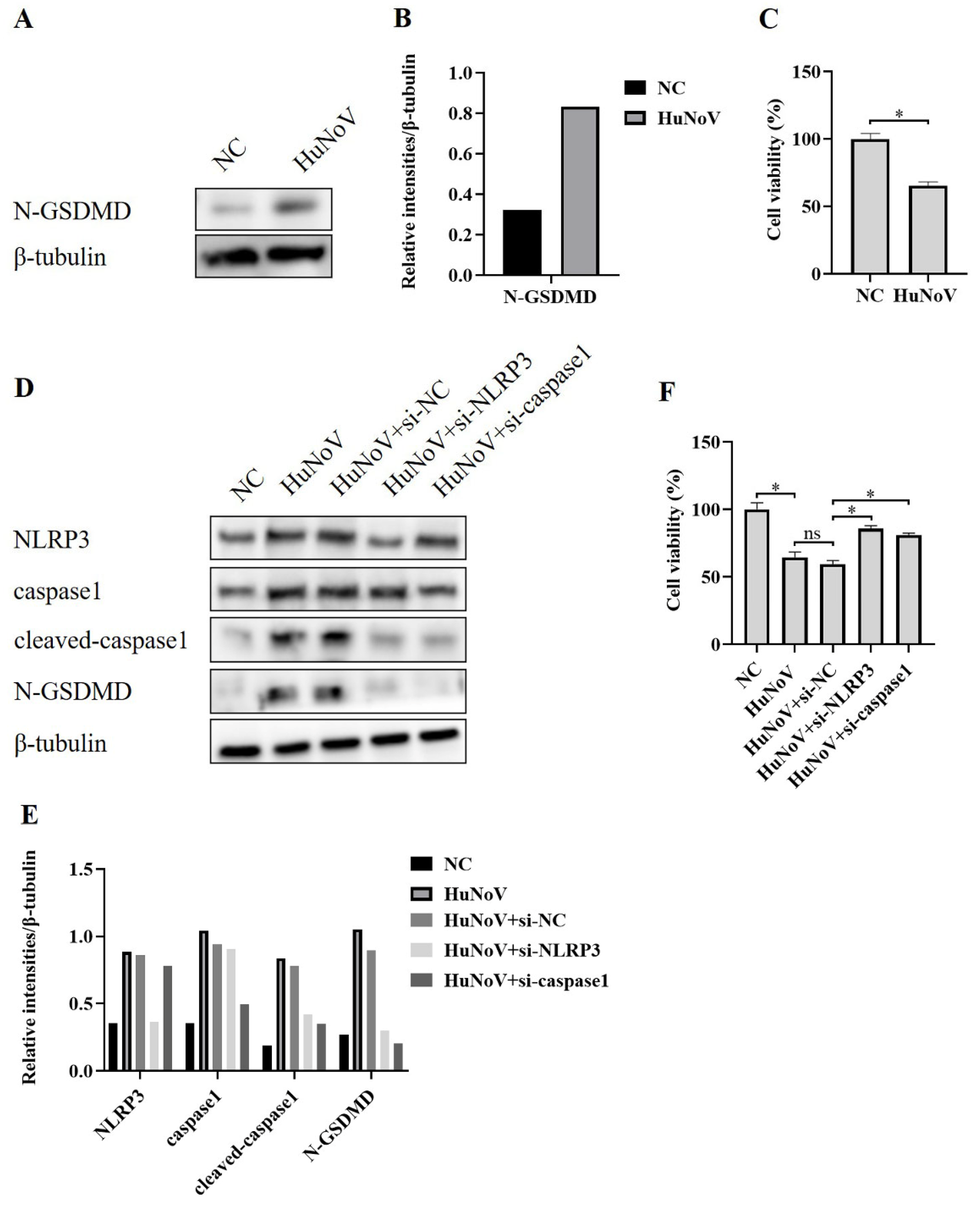 Vaccines 11 00993 g003 Vaccines 11 00993 g003