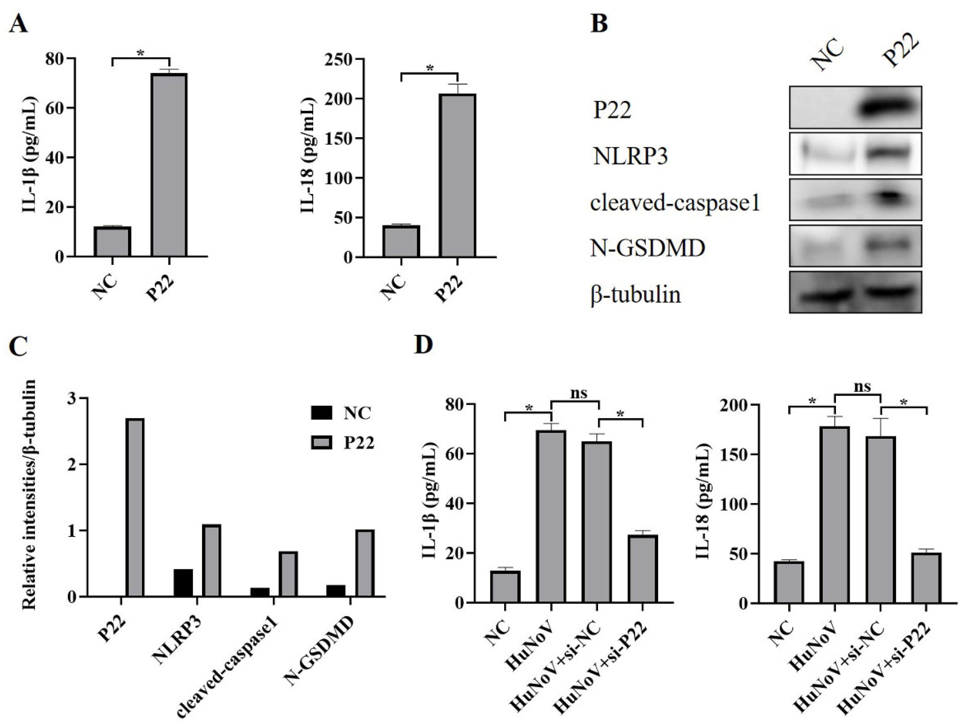 Vaccines 11 00993 g004 Vaccines 11 00993 g004
