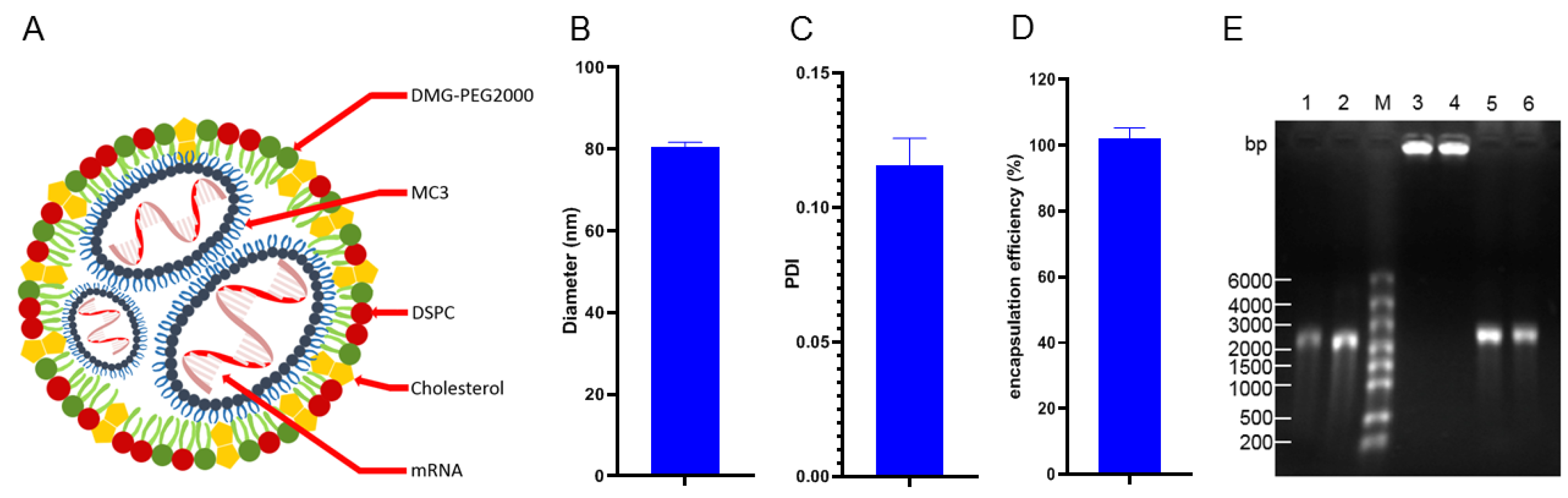 Vaccines | Free Full-Text | Comparison of the Immune Effects of an mRNA ...