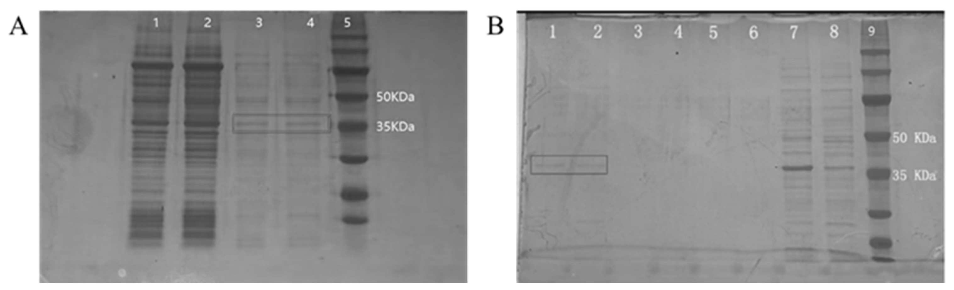 Vaccines 11 01053 g001