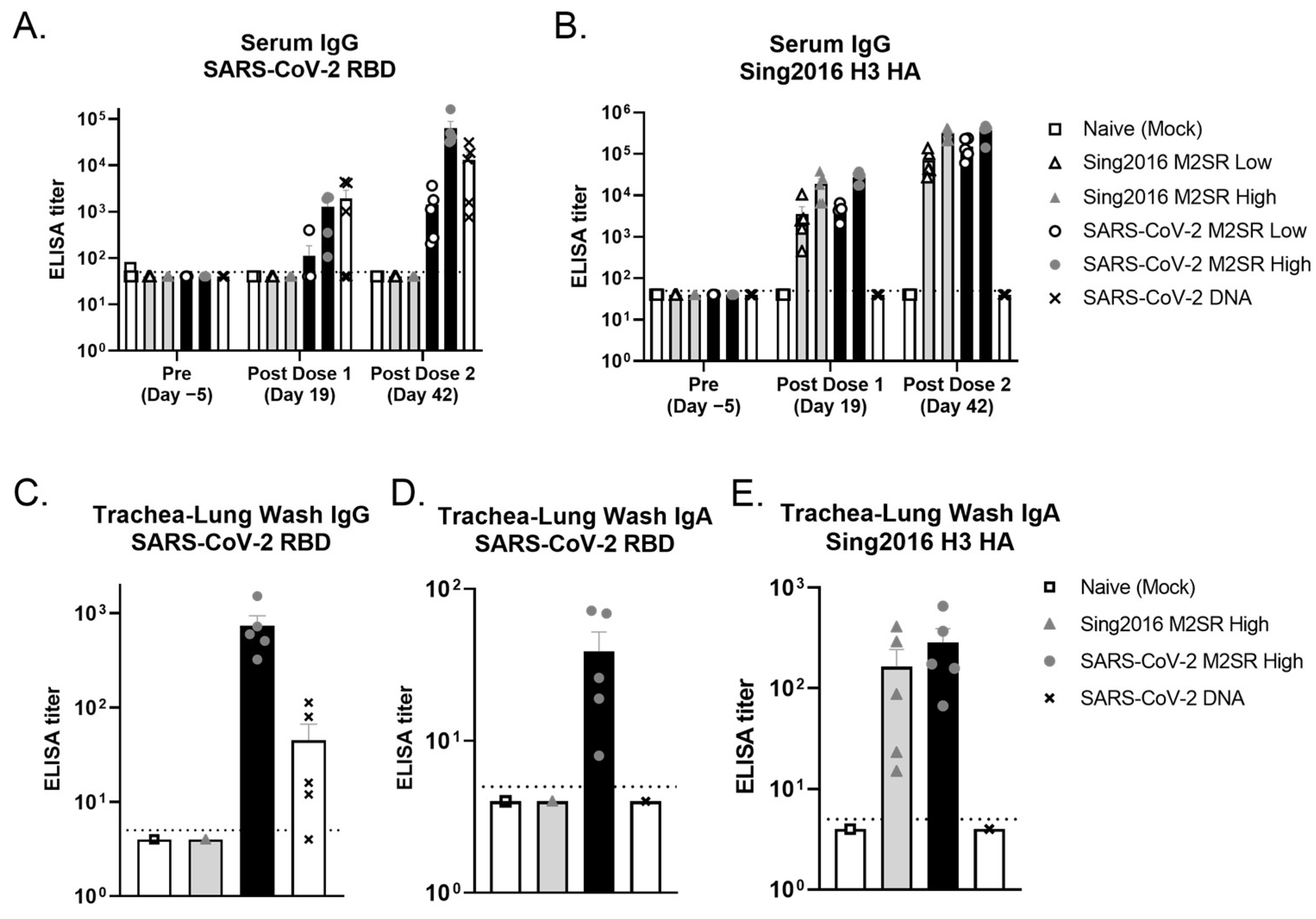 Vaccines 11 01063 g007 Vaccines 11 01063 g007