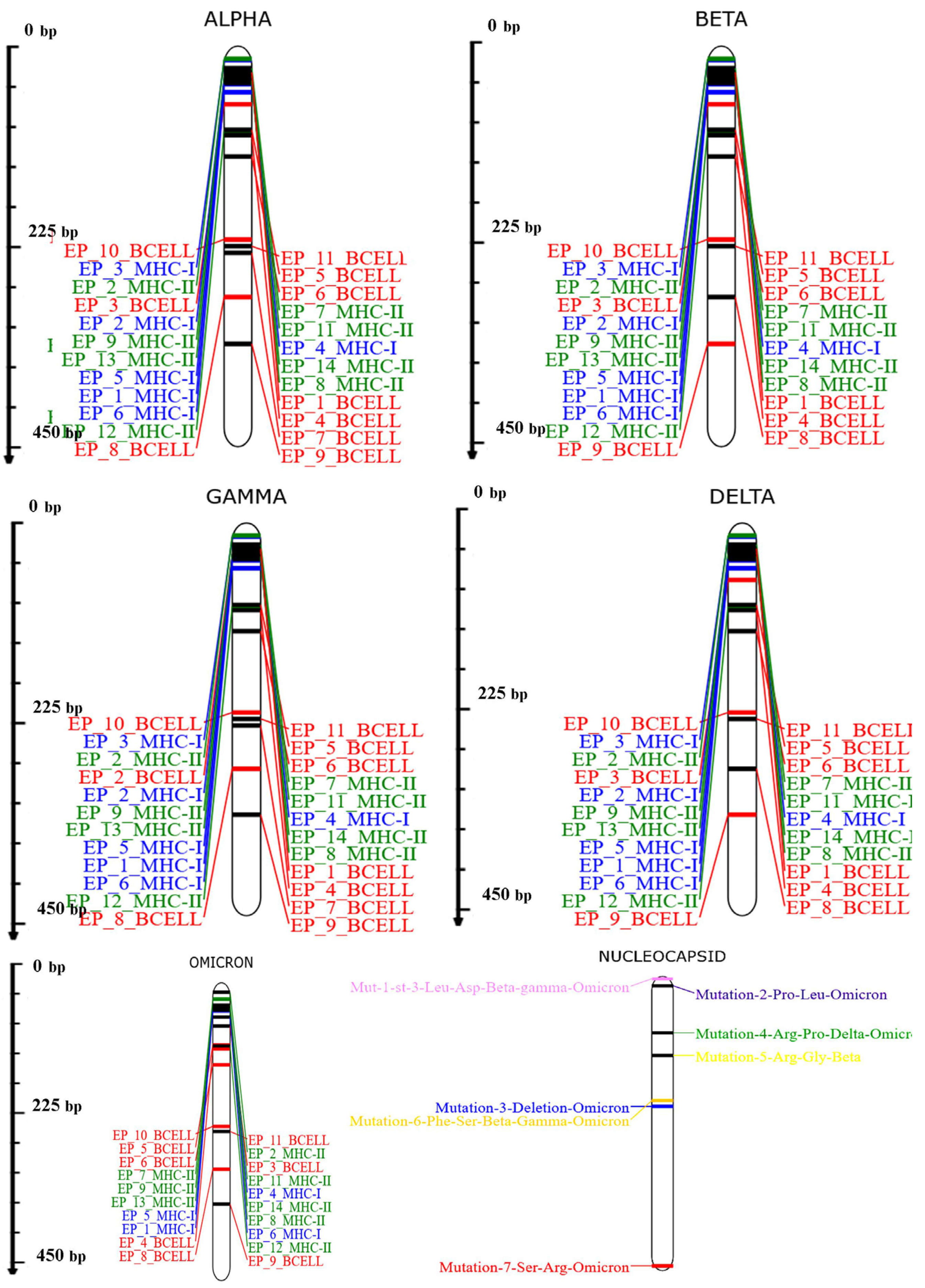 Vaccines 11 01090 g001