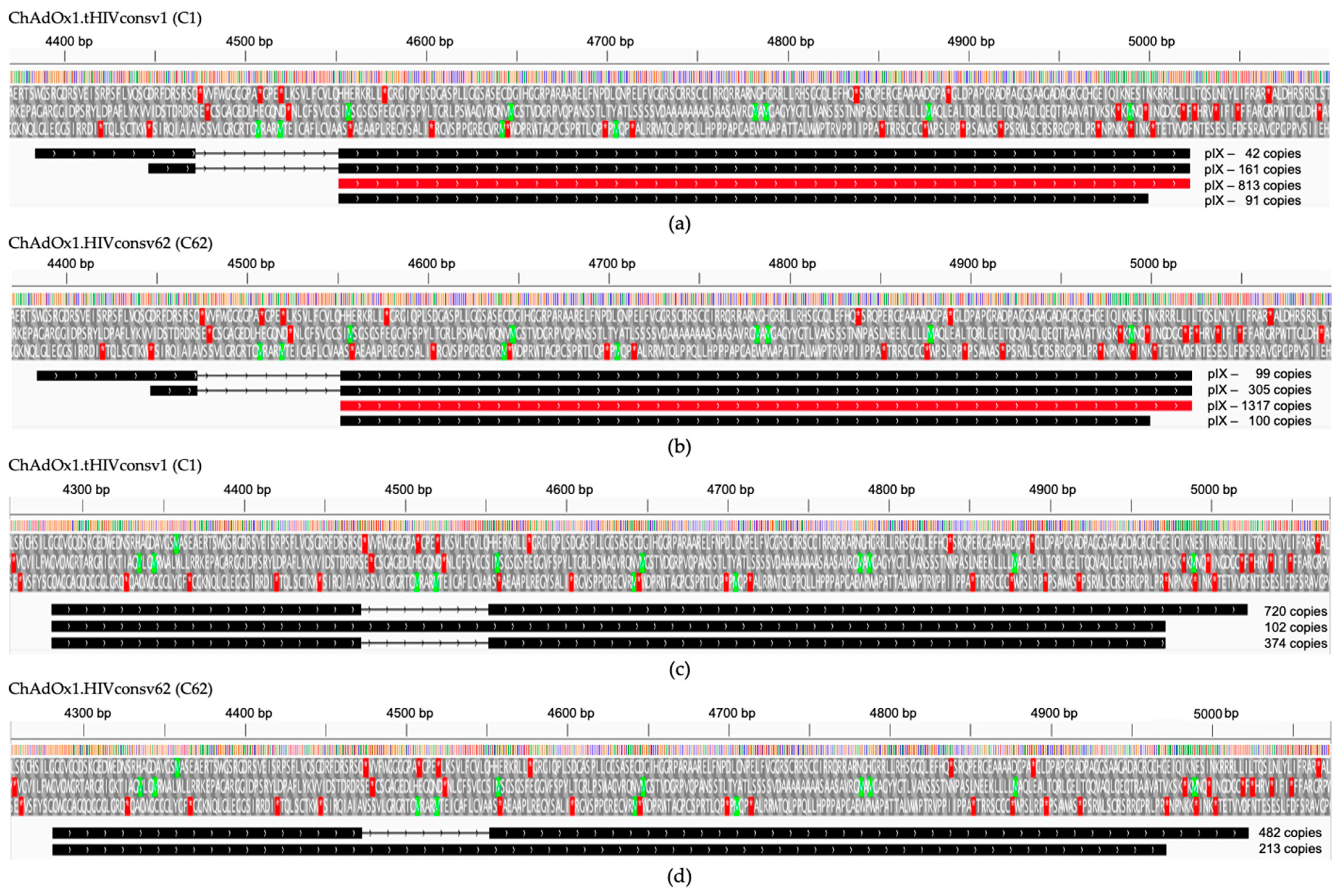 Vaccines 11 01187 g004 Vaccines 11 01187 g004