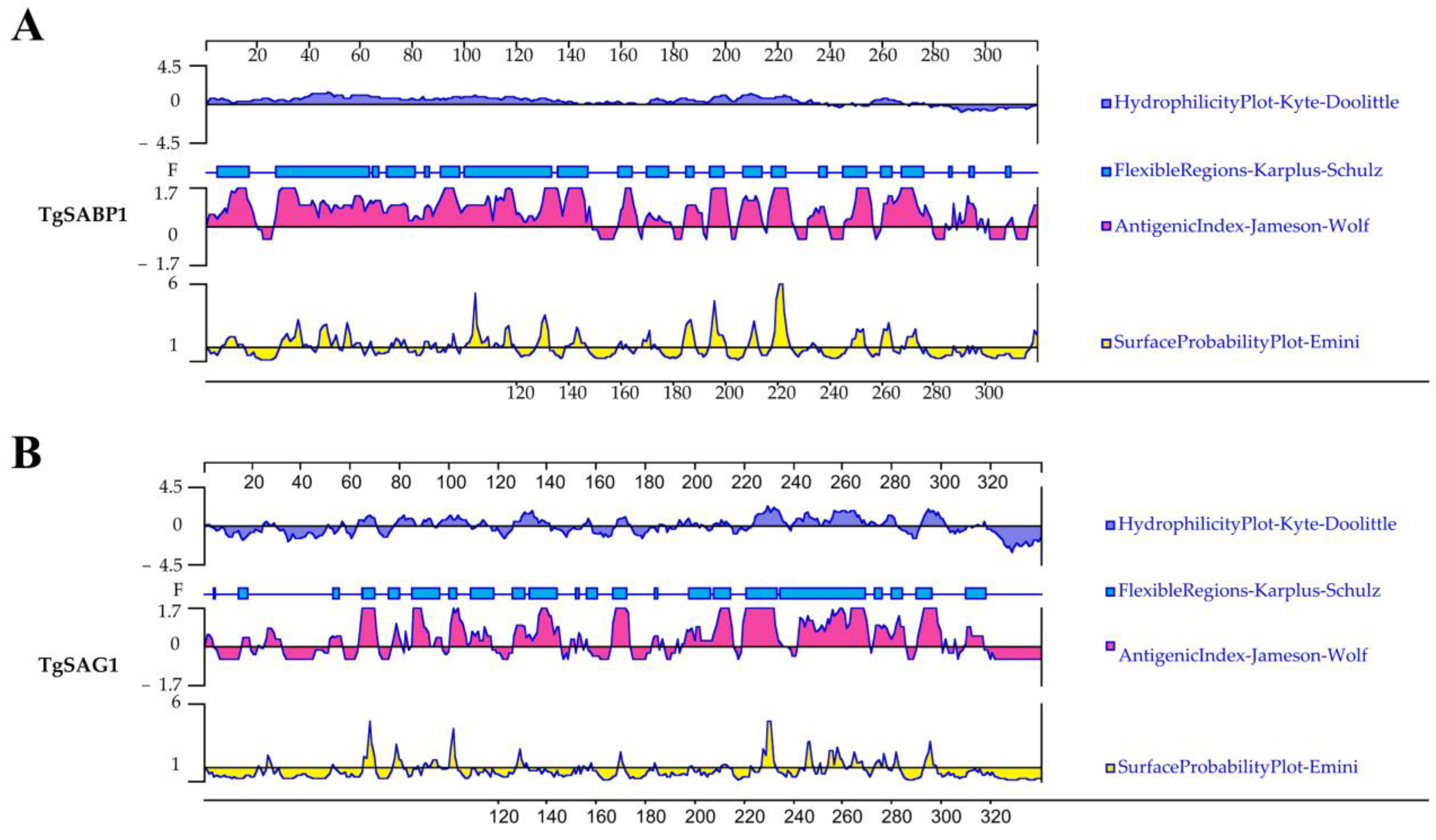 Vaccines 11 01190 g001 Vaccines 11 01190 g001