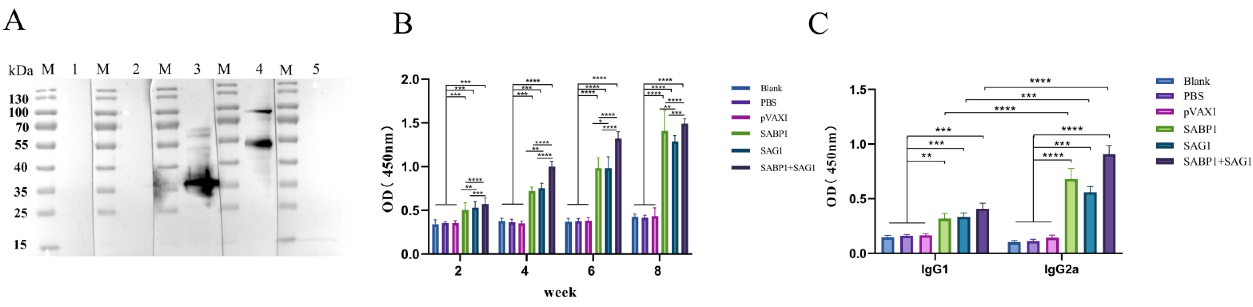 Vaccines 11 01190 g004 Vaccines 11 01190 g004