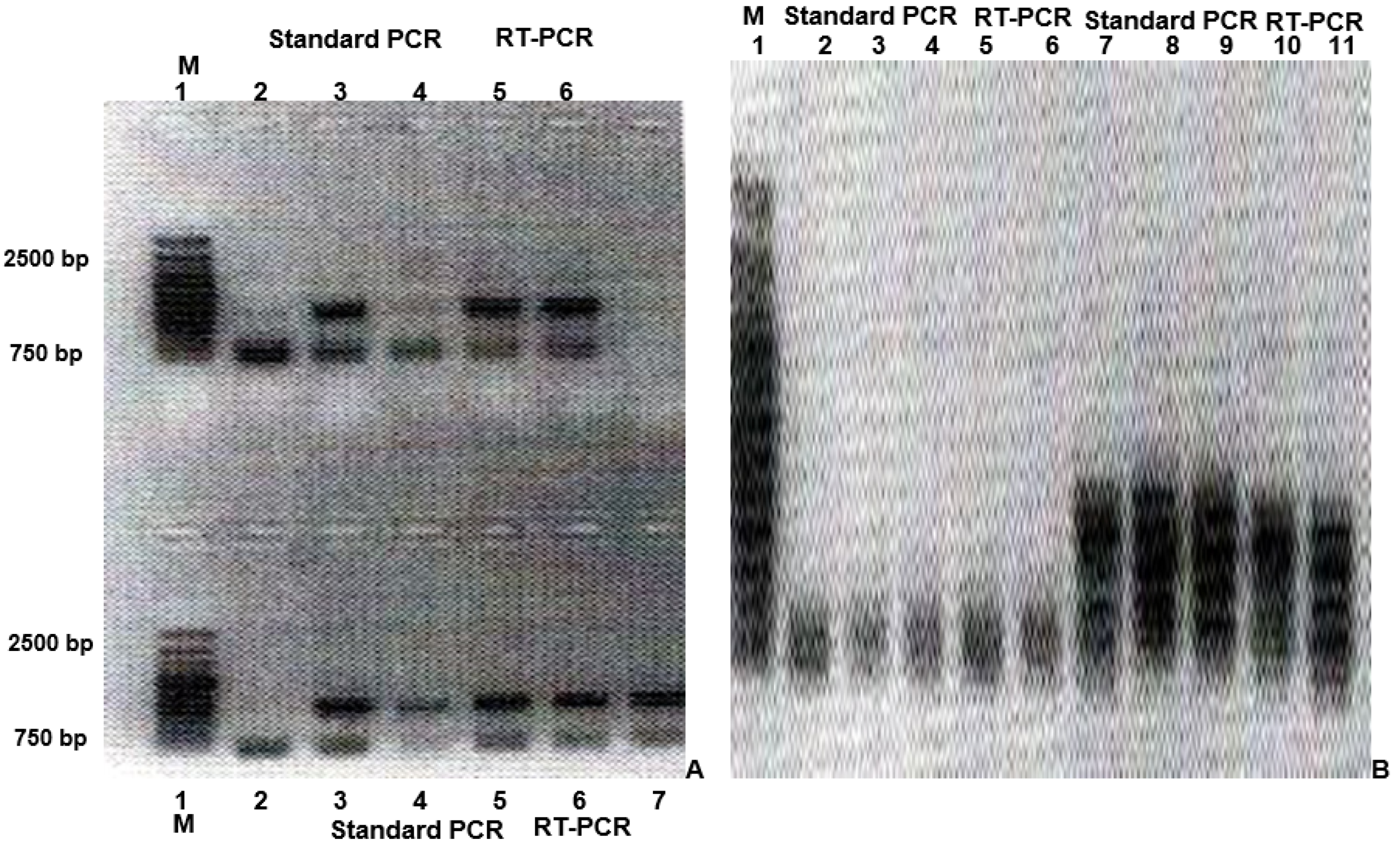 Vaccines 11 01226 g001